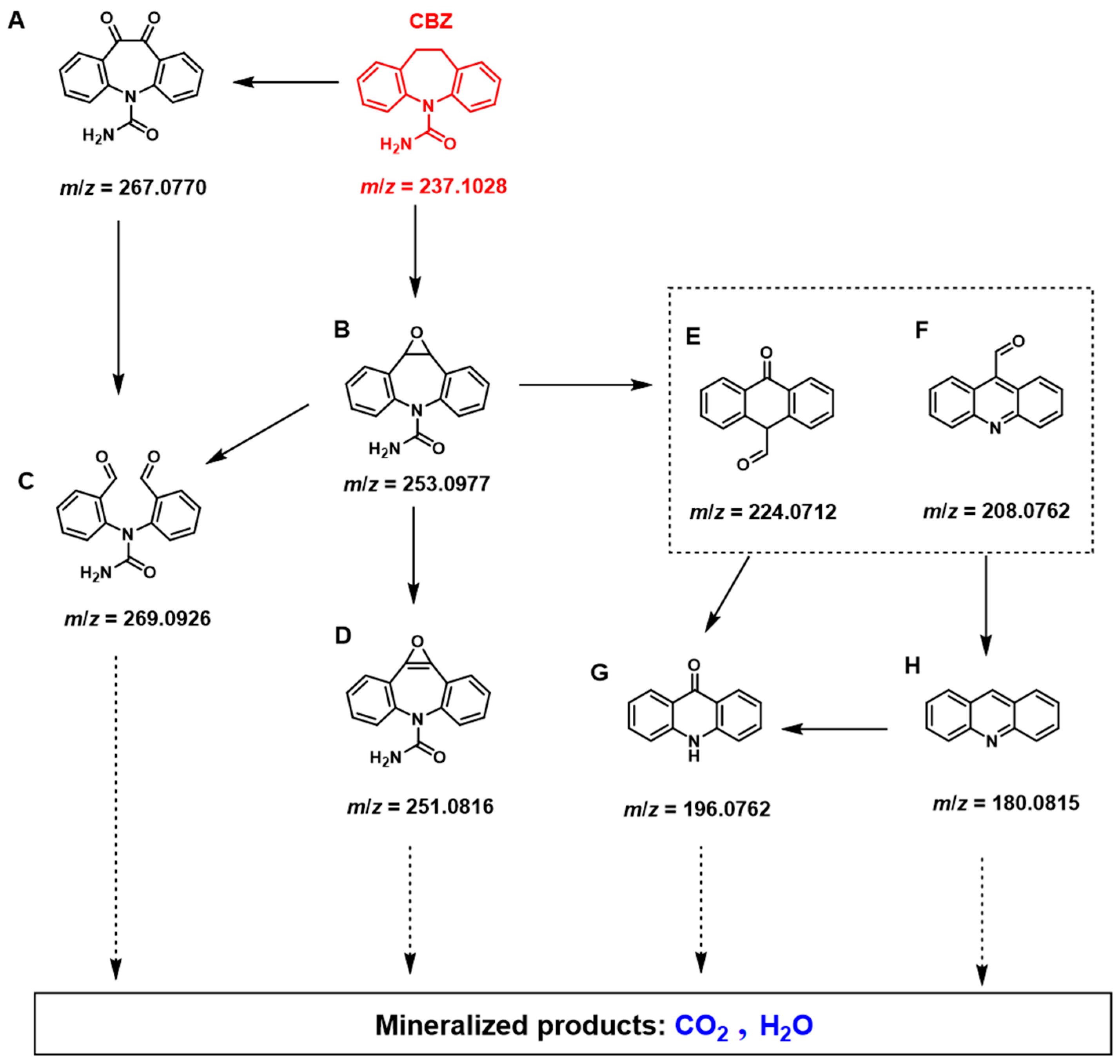 Catalysts 14 00520 g009