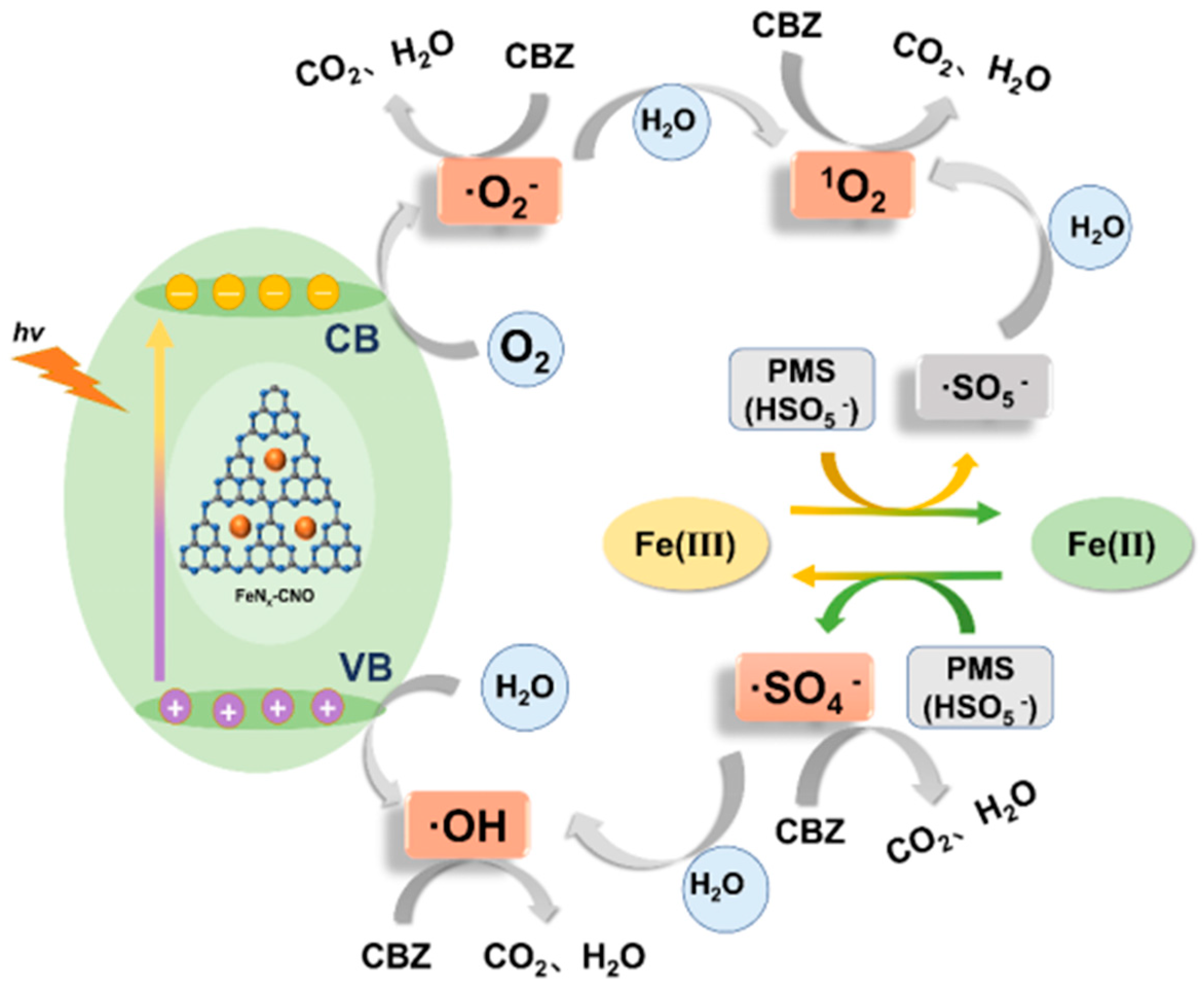 Catalysts 14 00520 sch002