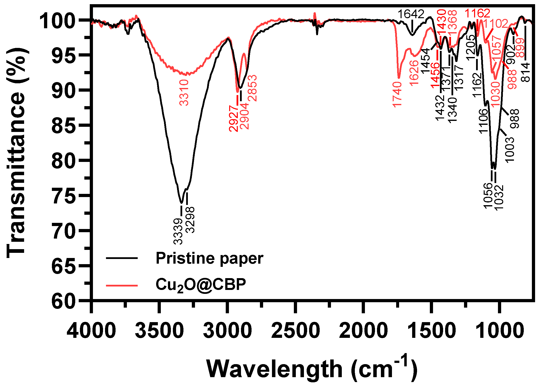 Catalysts 14 00525 g004