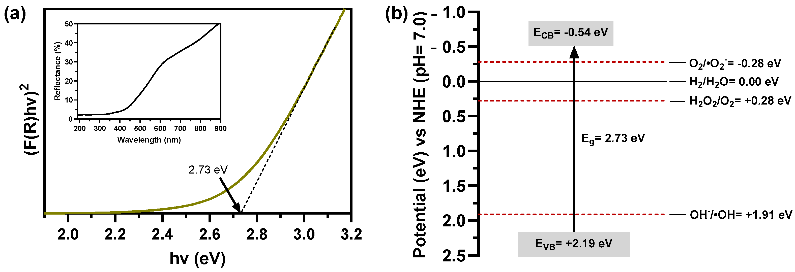 Catalysts 14 00525 g005