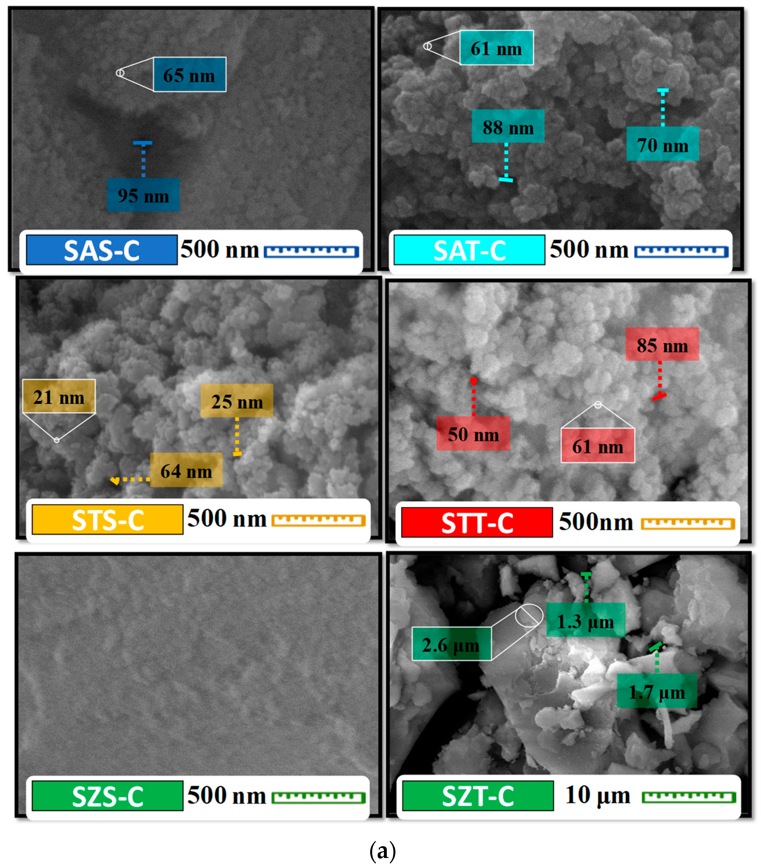 Catalysts 14 00526 g002a