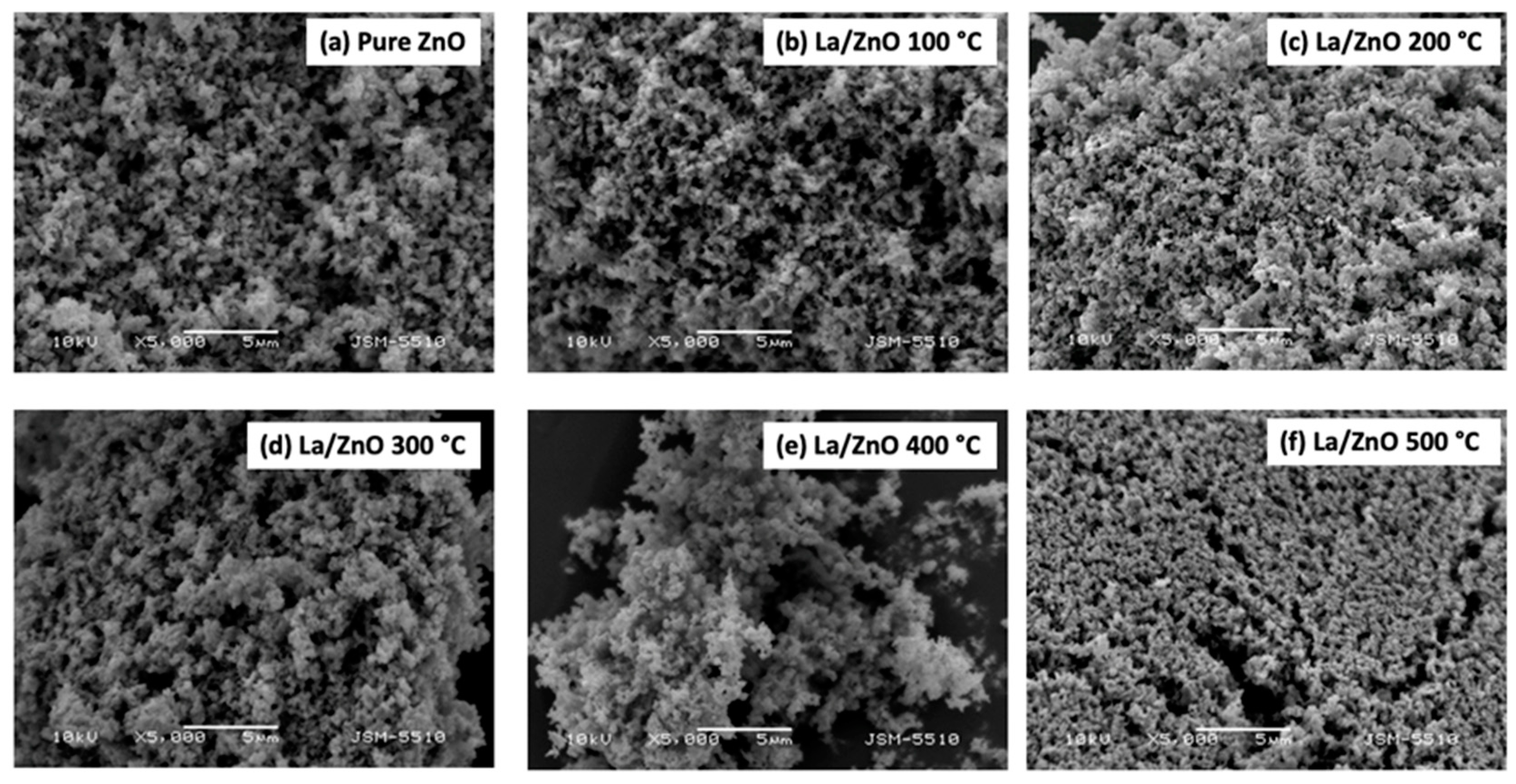 Catalysts 14 00527 g001 Catalysts 14 00527 g001