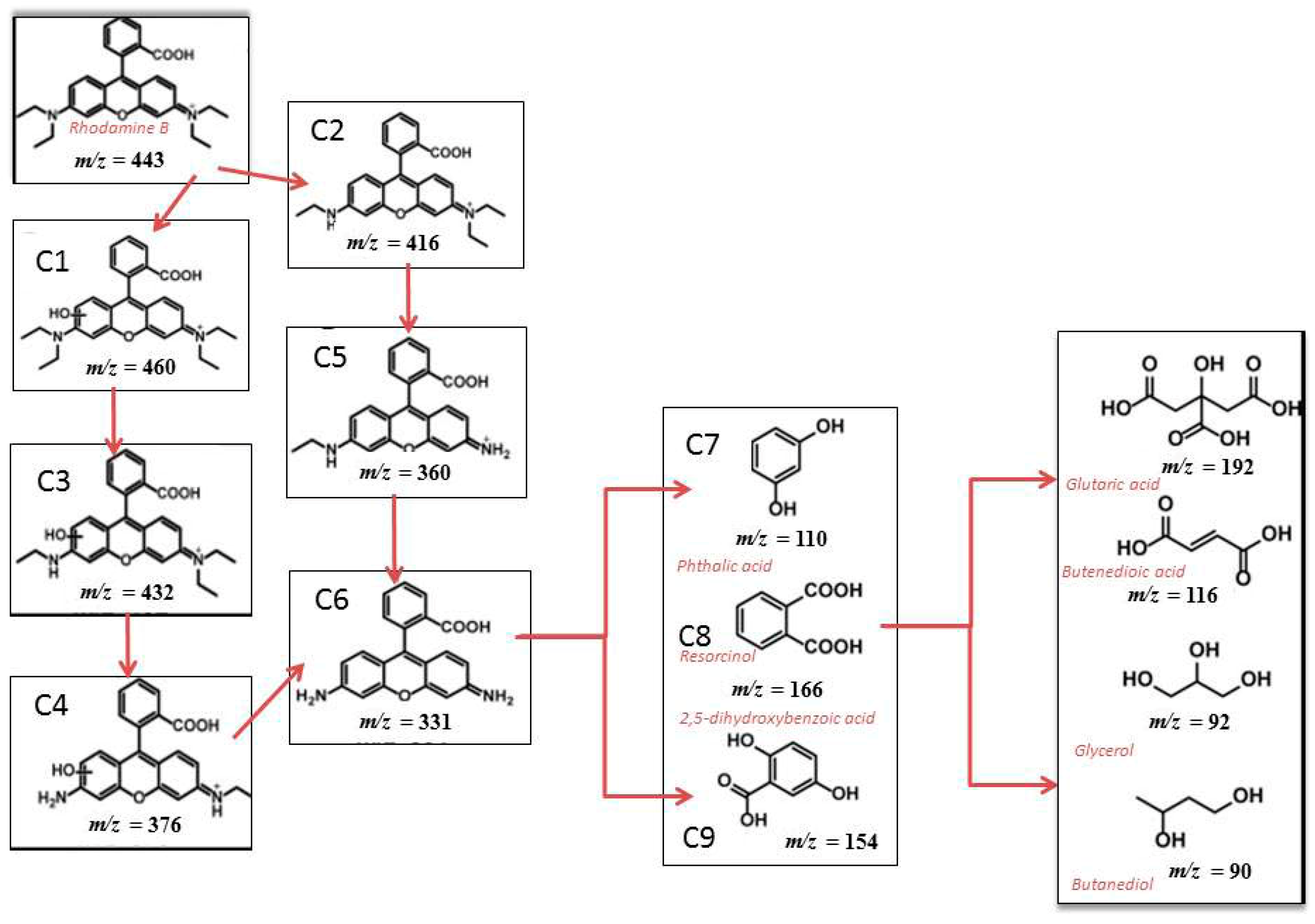 Catalysts 14 00527 g010 Catalysts 14 00527 g010