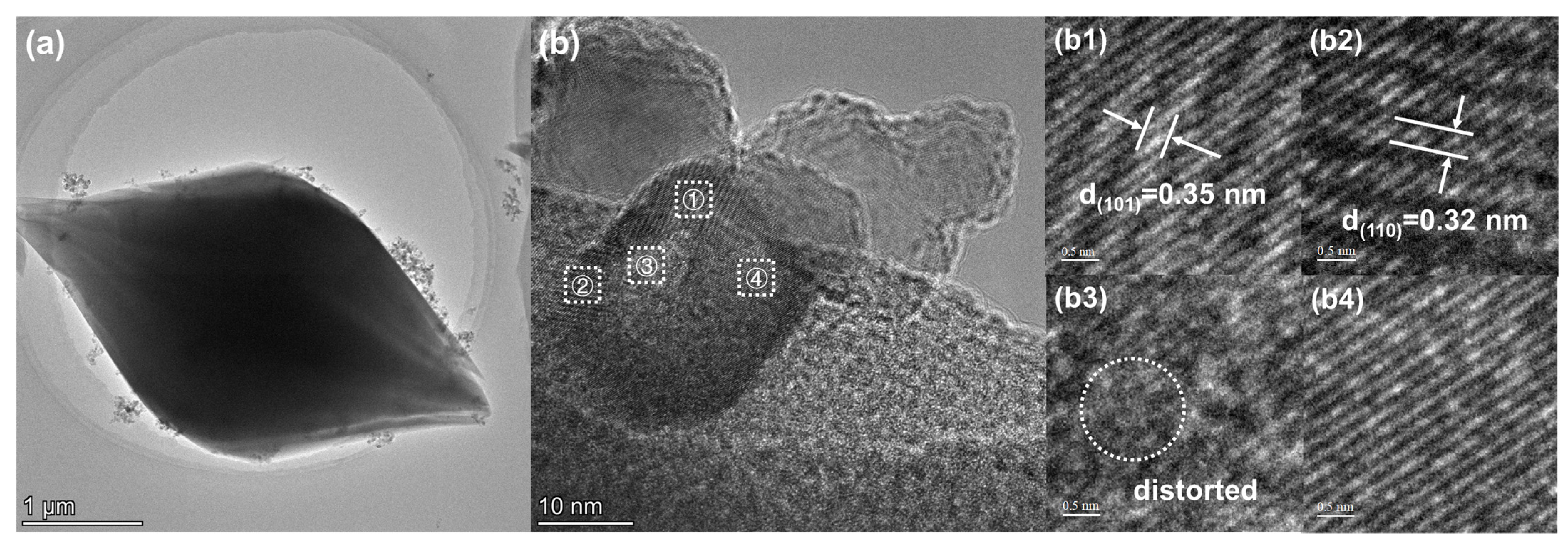 Catalysts 14 00528 g003