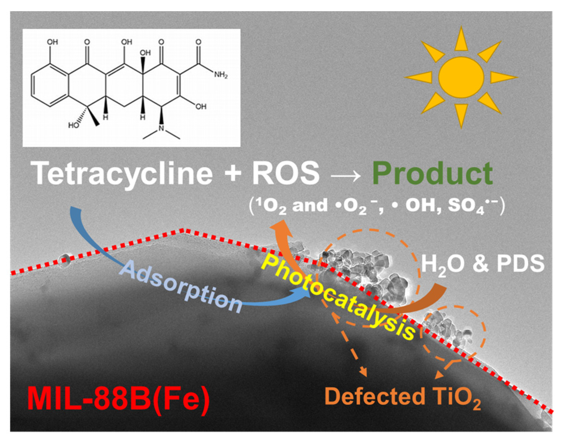 Catalysts 14 00528 g007
