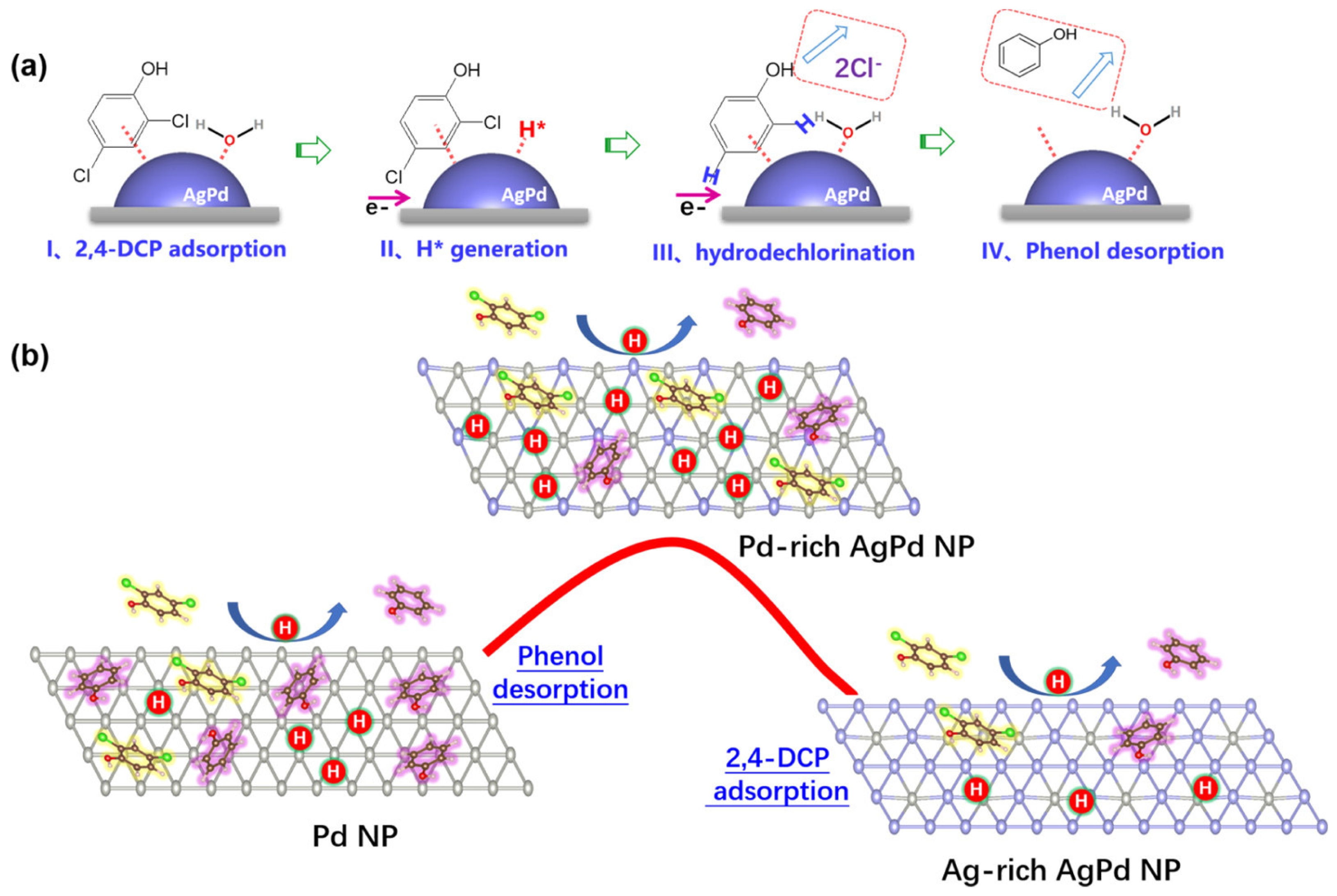Catalysts 14 00531 g003