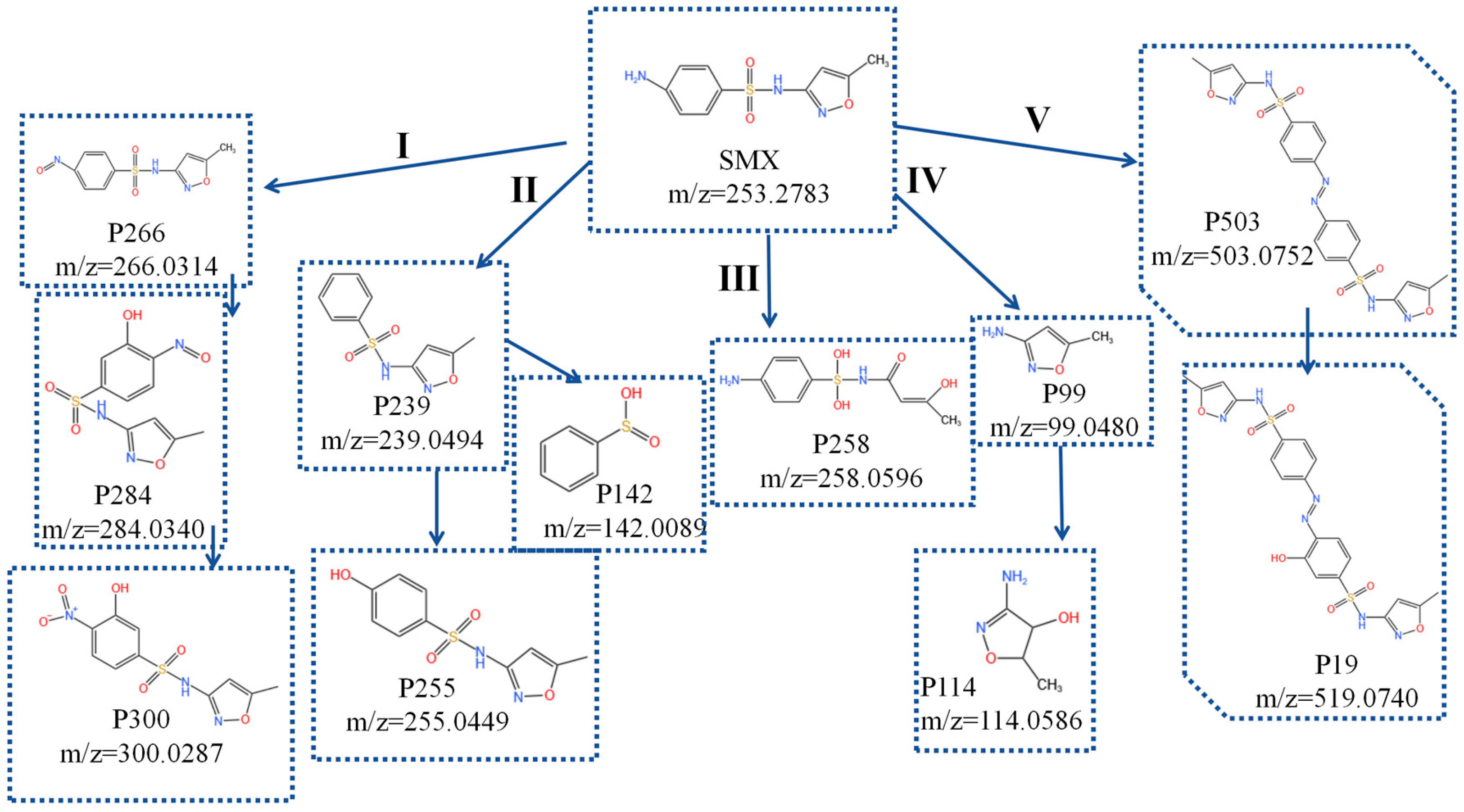 Catalysts 14 00532 g008