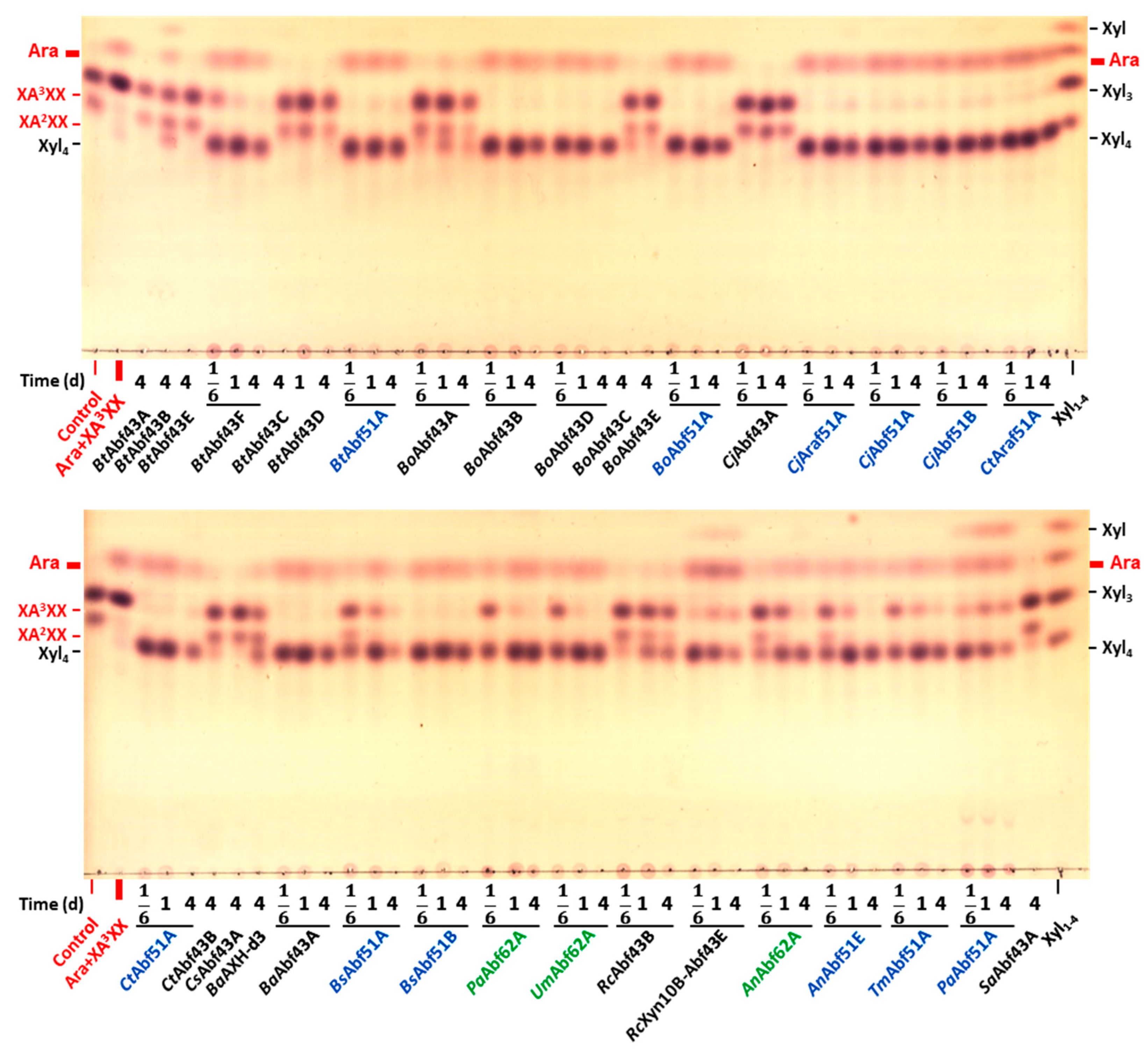 Catalysts 14 00536 g002