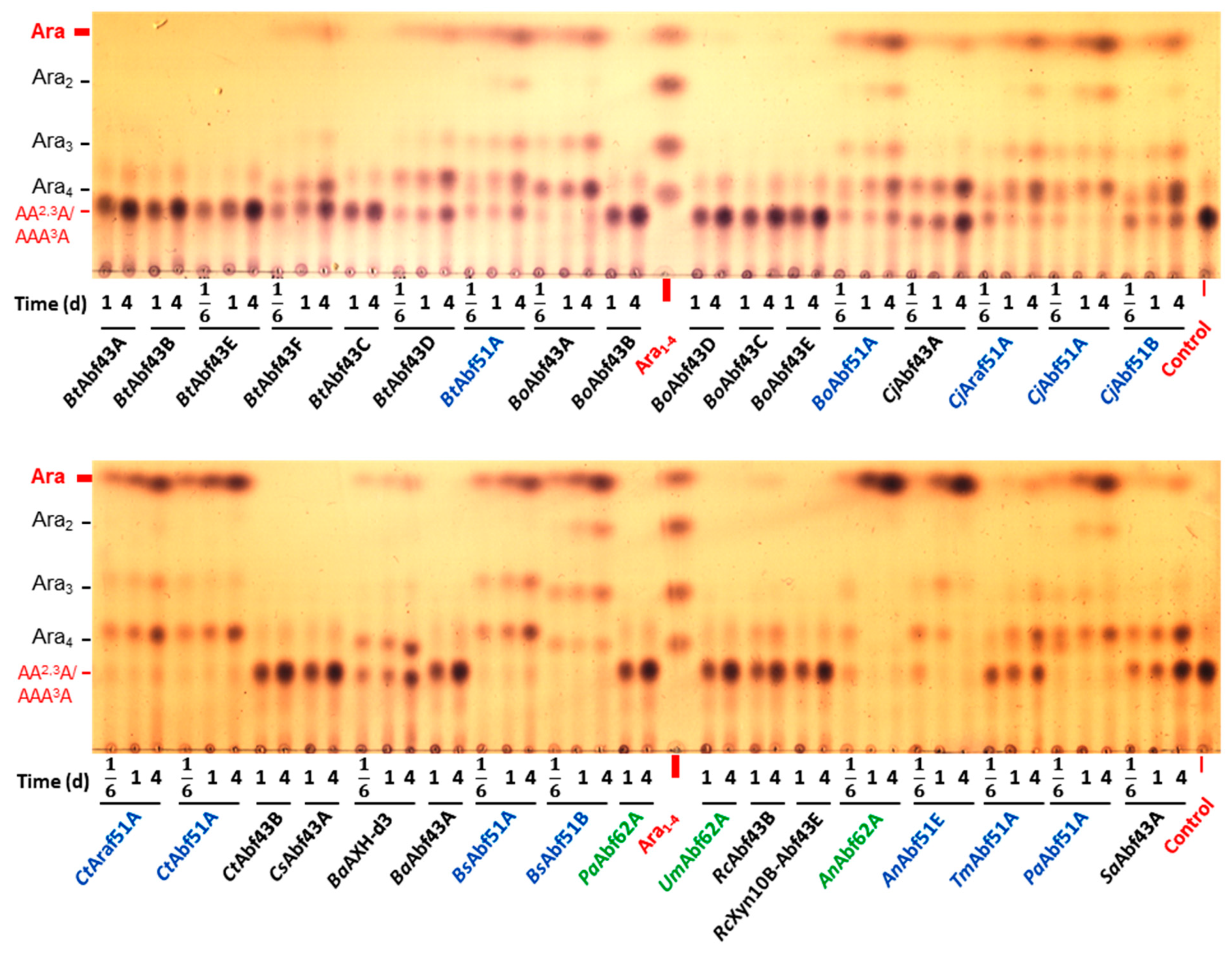 Catalysts 14 00536 g005