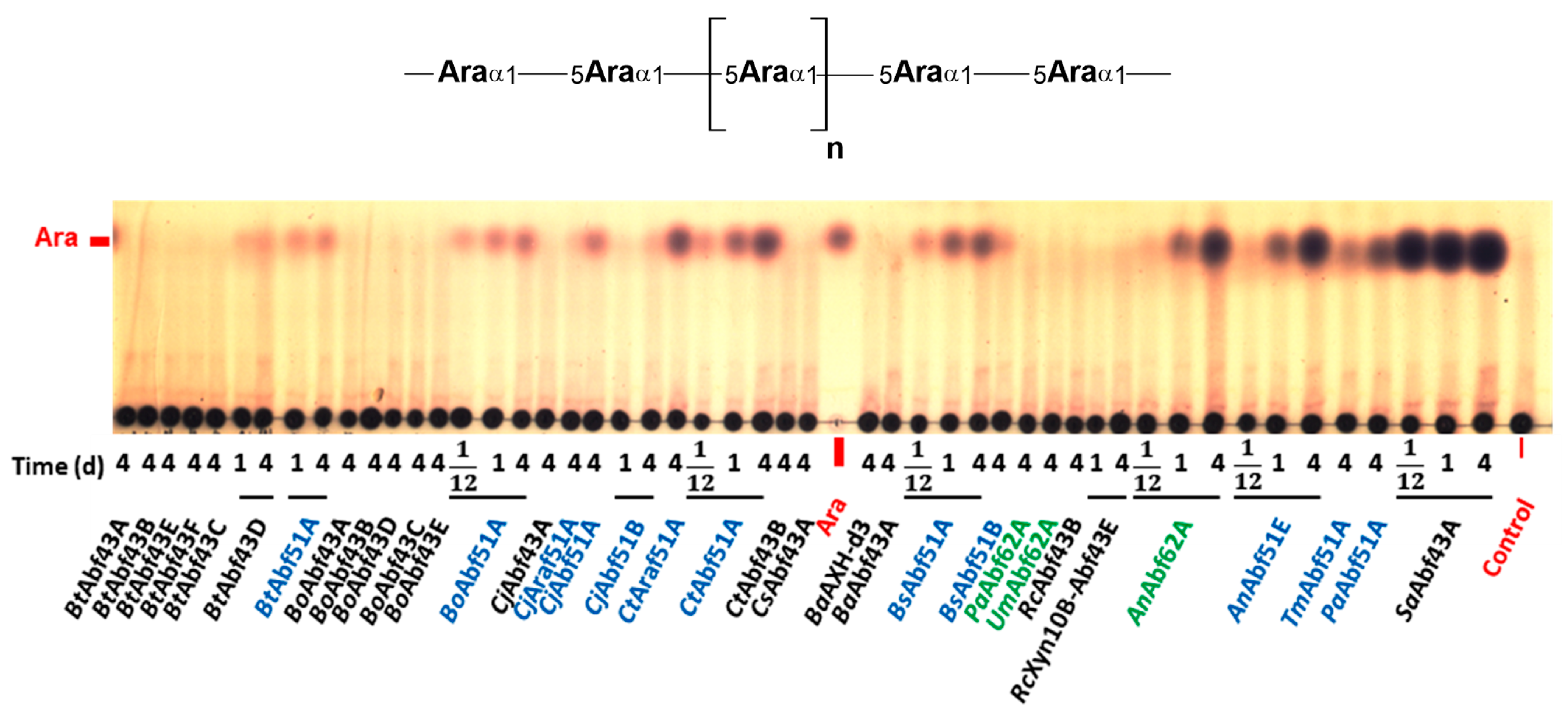 Catalysts 14 00536 g006