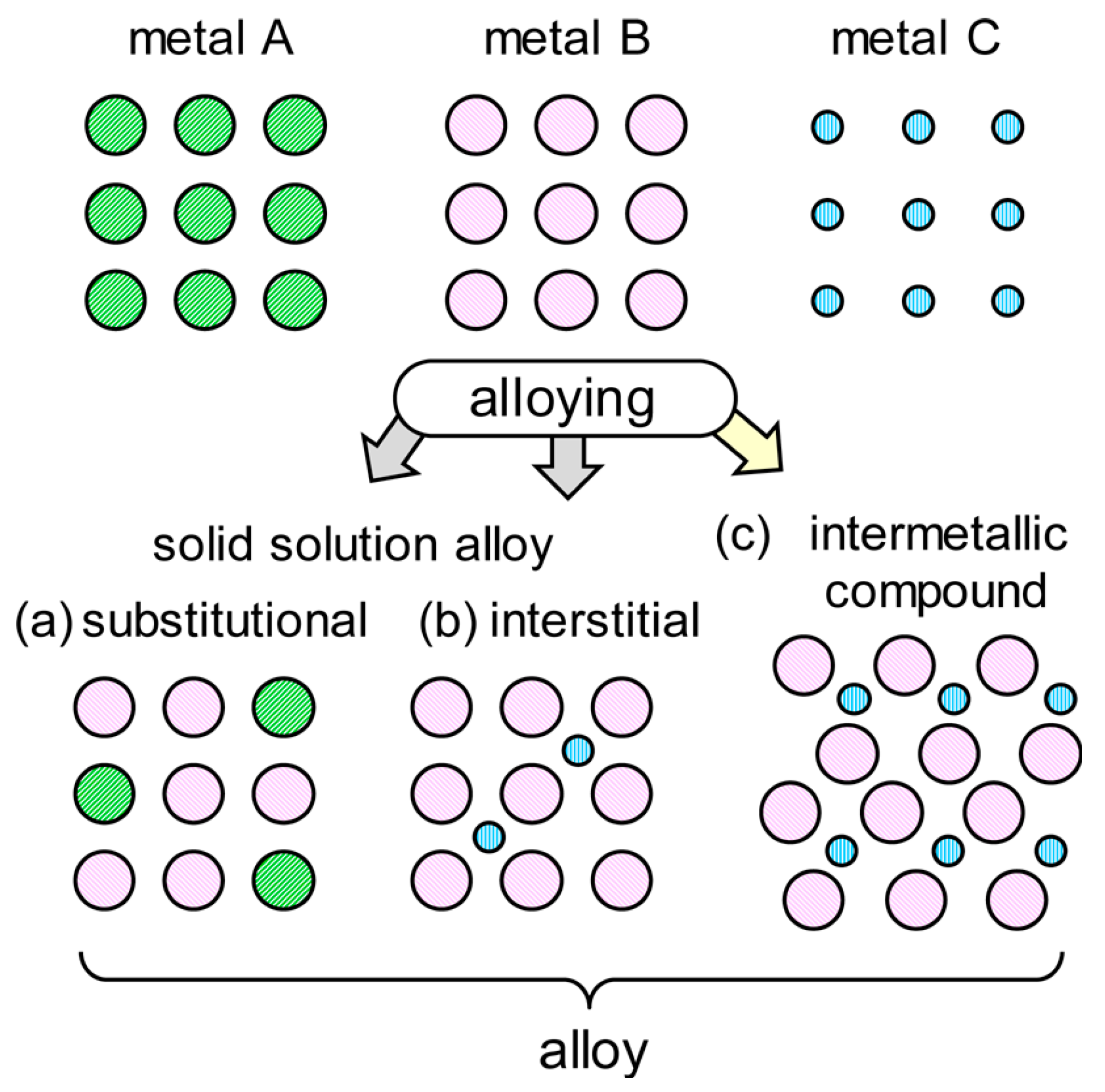 Catalysts 14 00538 g002