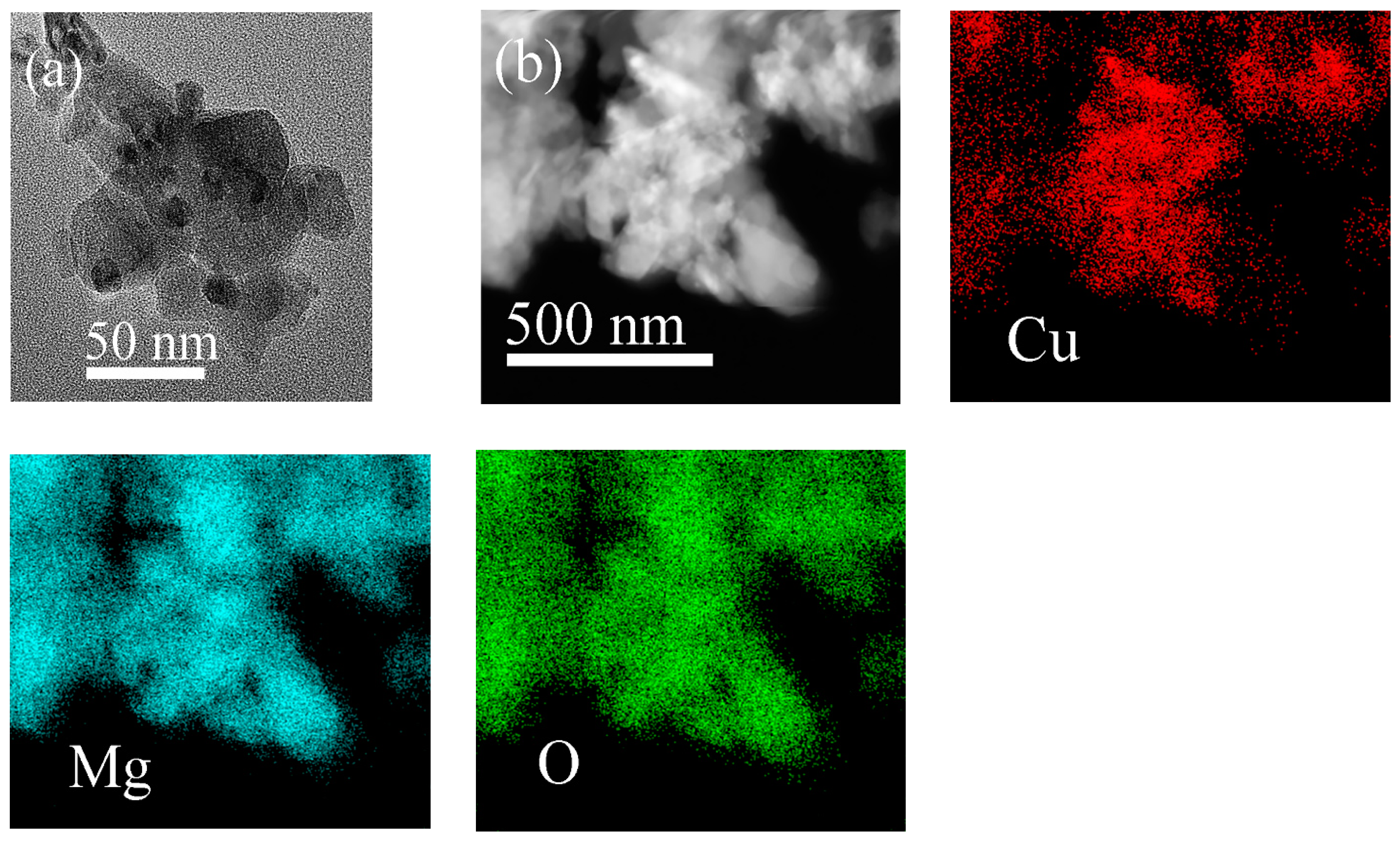 Catalysts 14 00541 g002
