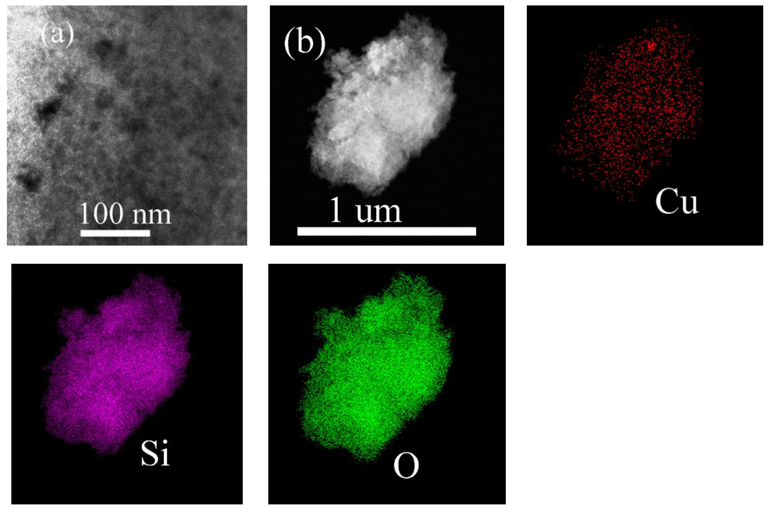 Catalysts 14 00541 g003