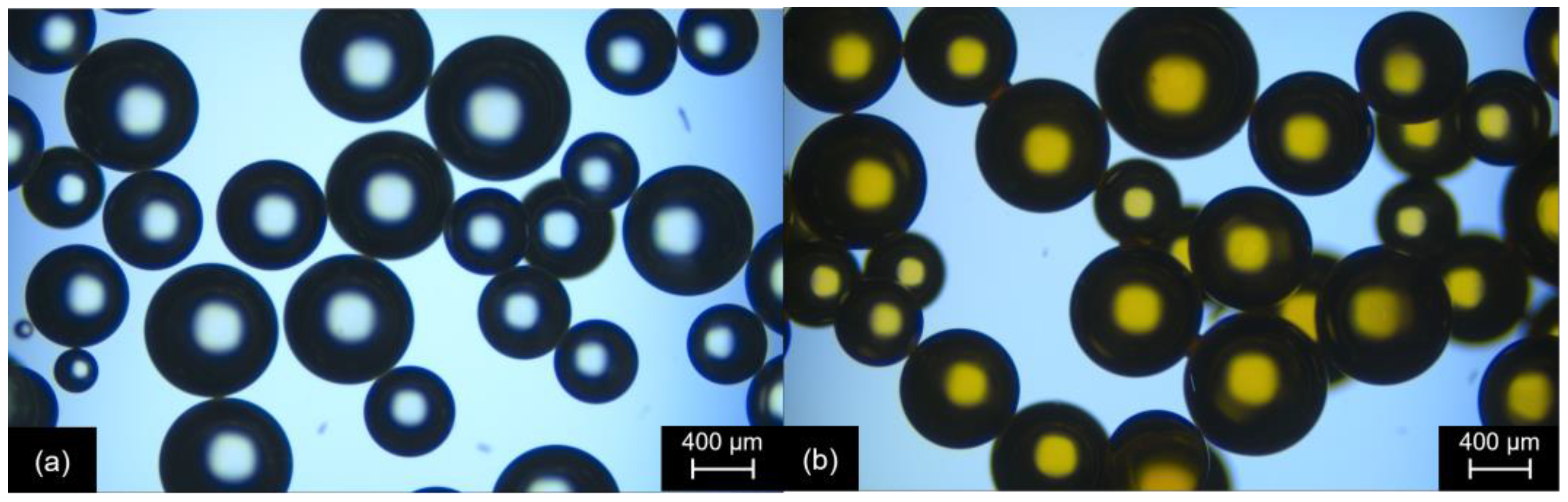 Catalysts 14 00542 g002