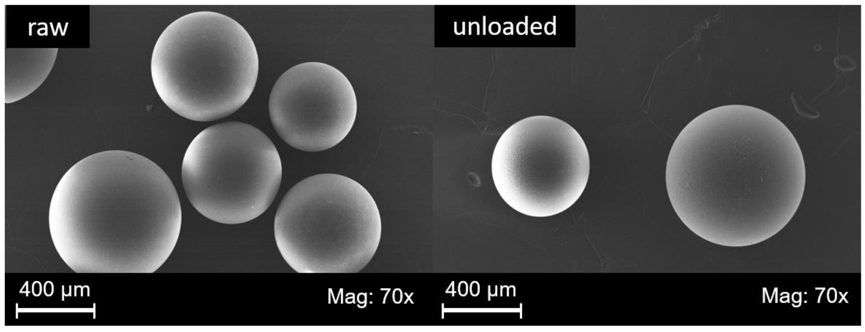 Catalysts 14 00542 g007