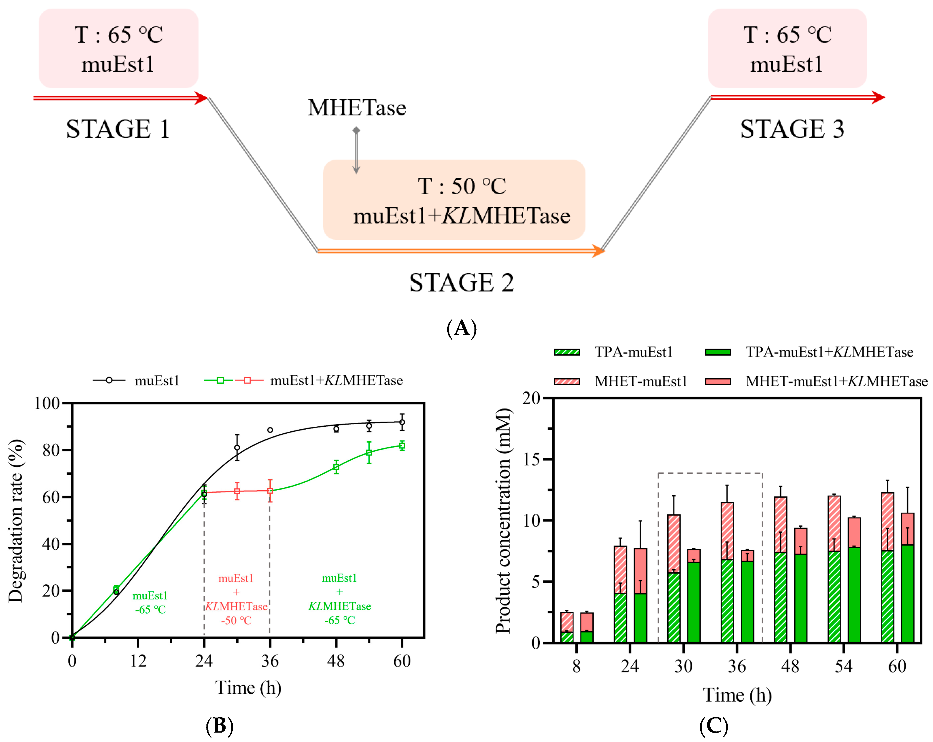 Catalysts 14 00543 g005