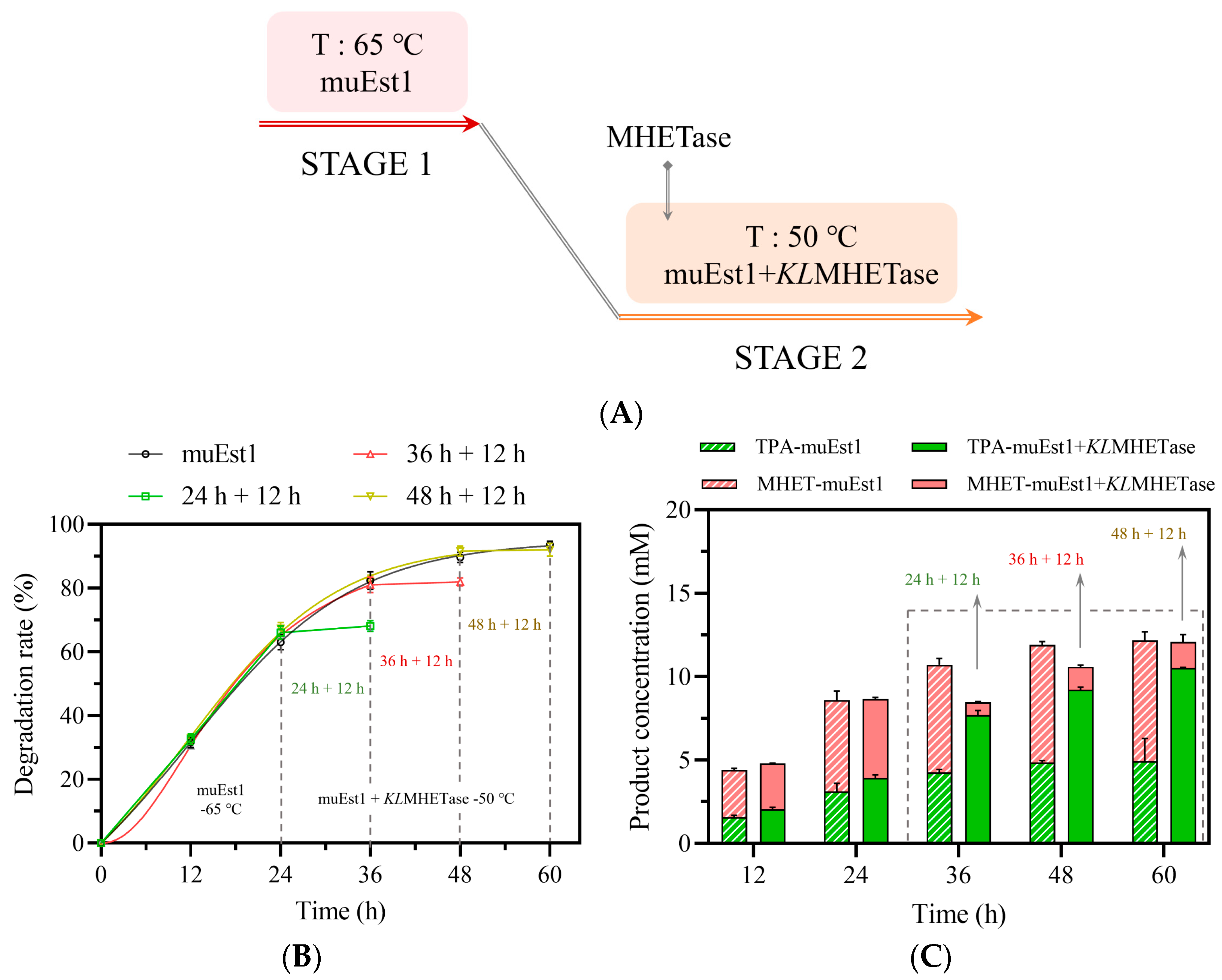 Catalysts 14 00543 g006
