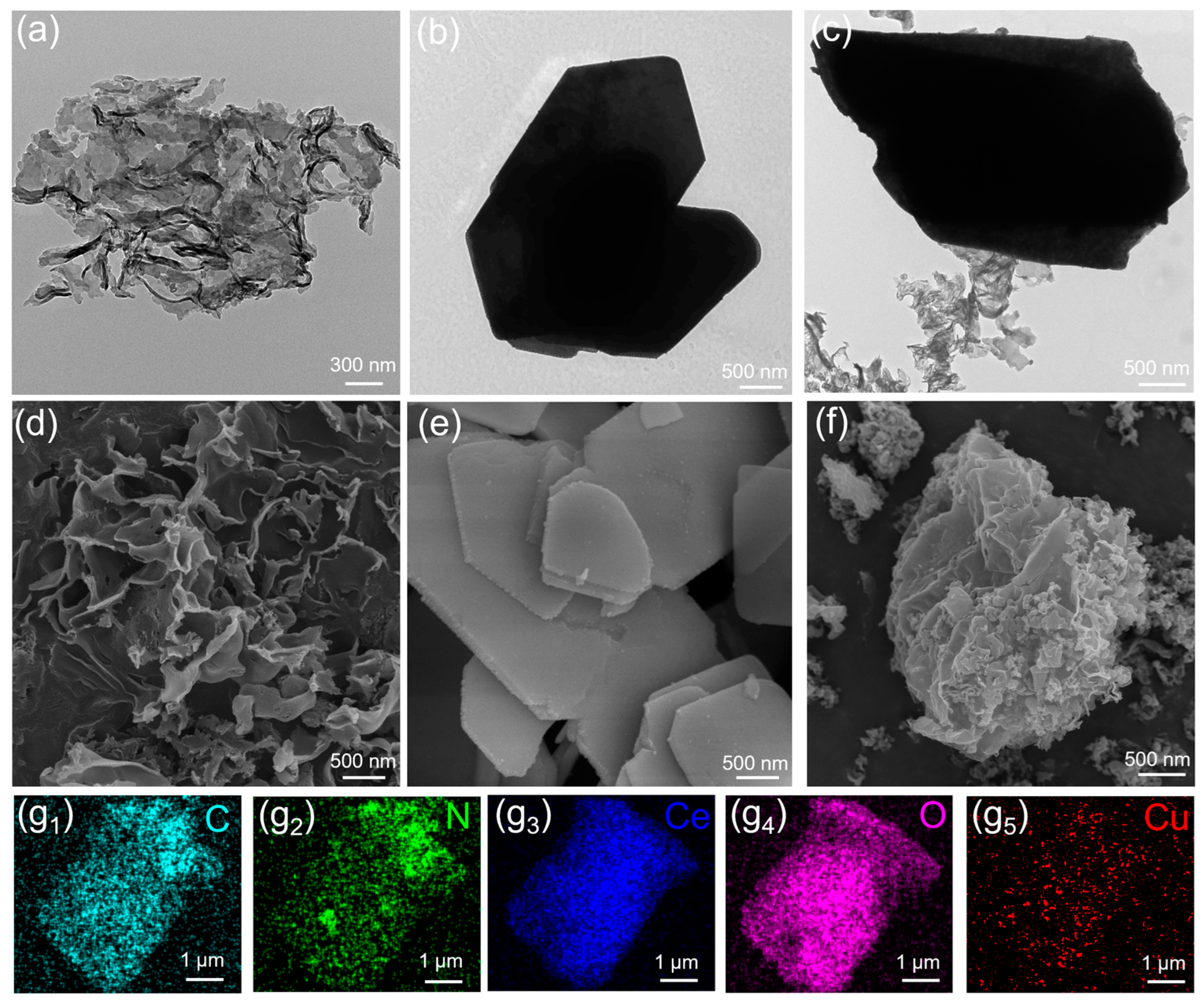 Catalysts 14 00546 g002