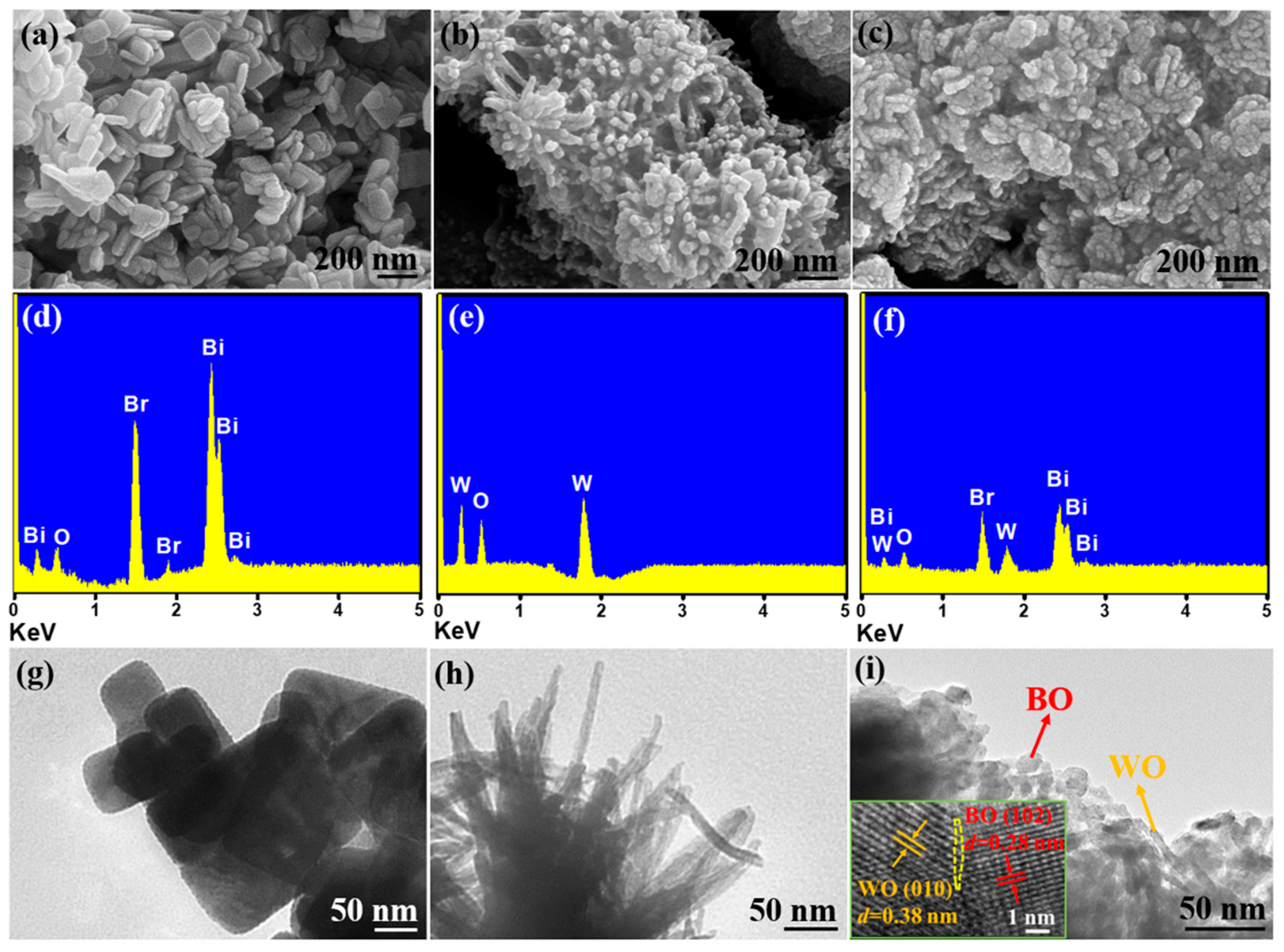 Catalysts 14 00548 g002