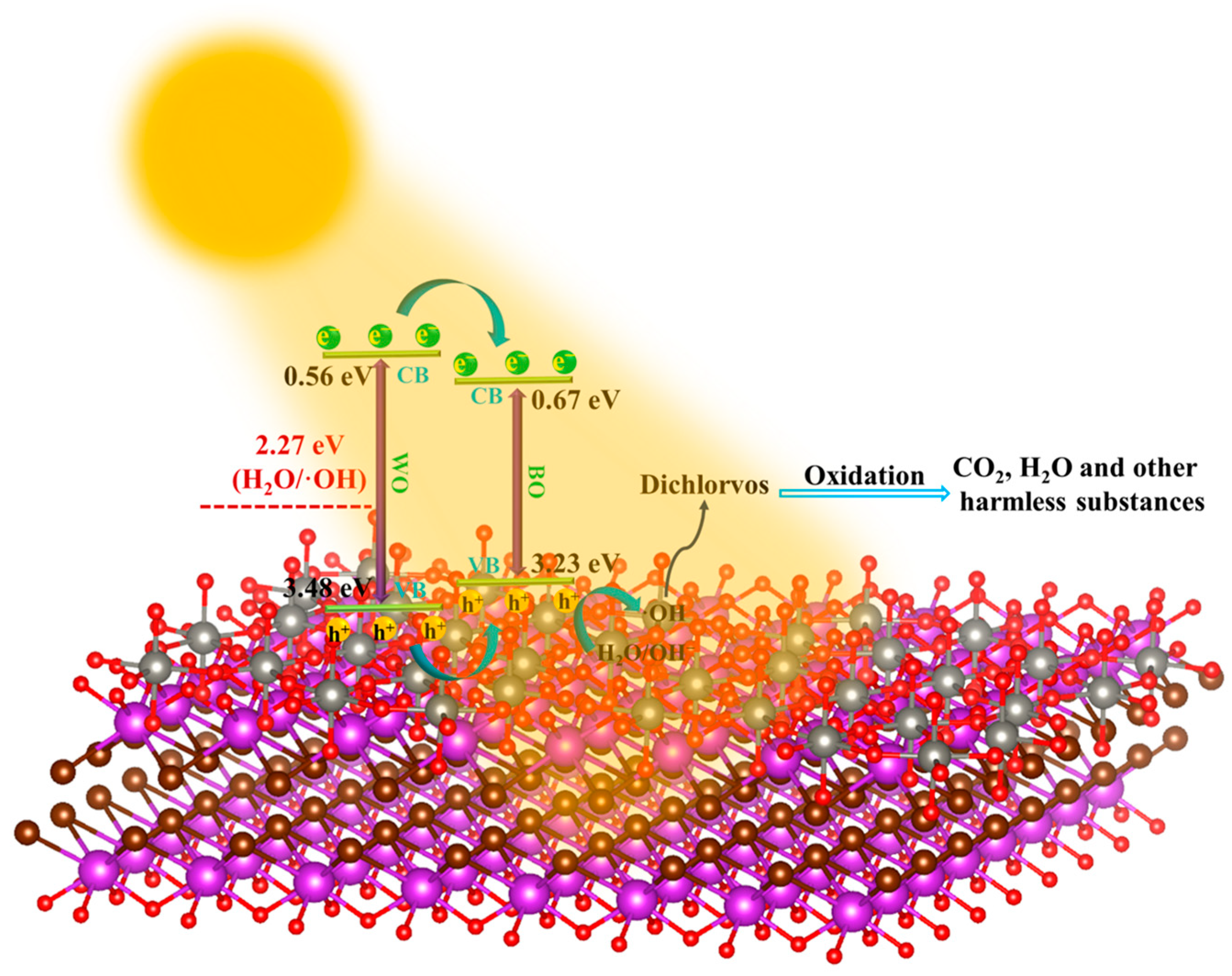 Catalysts 14 00548 g009