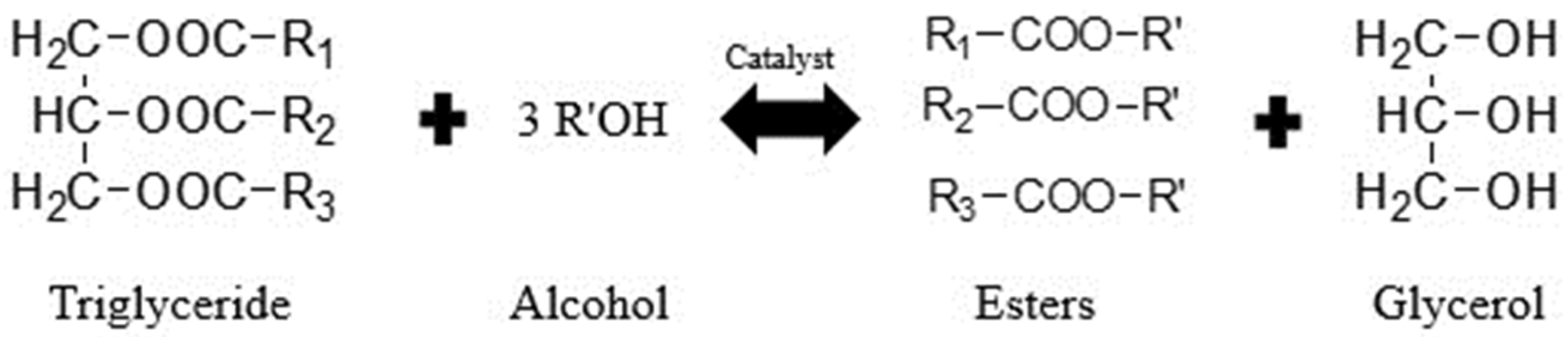 Catalysts 14 00549 g002