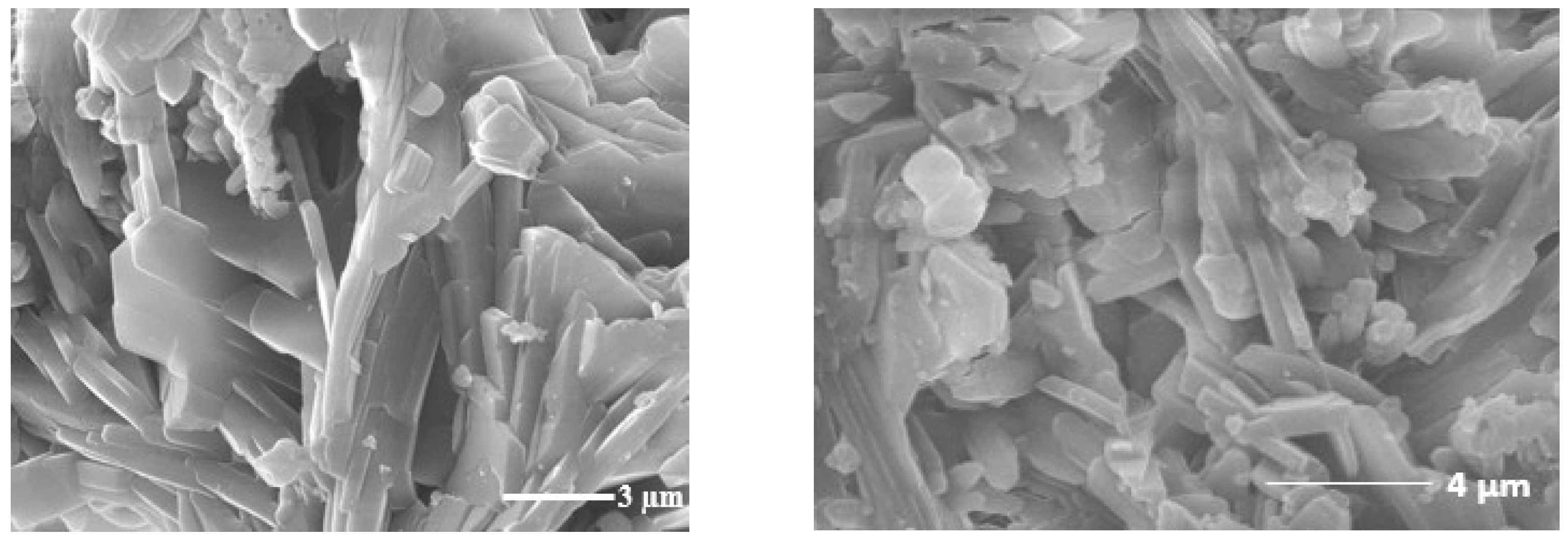Catalysts 14 00549 g008a