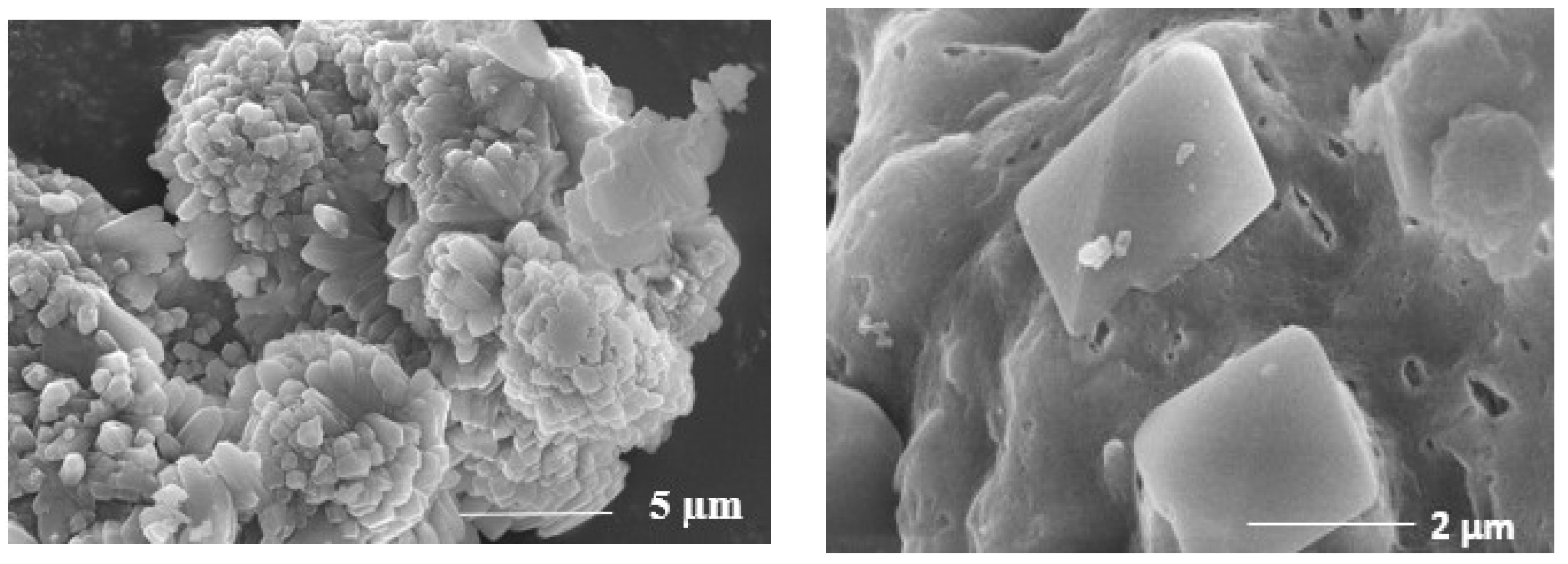 Catalysts 14 00549 g008b