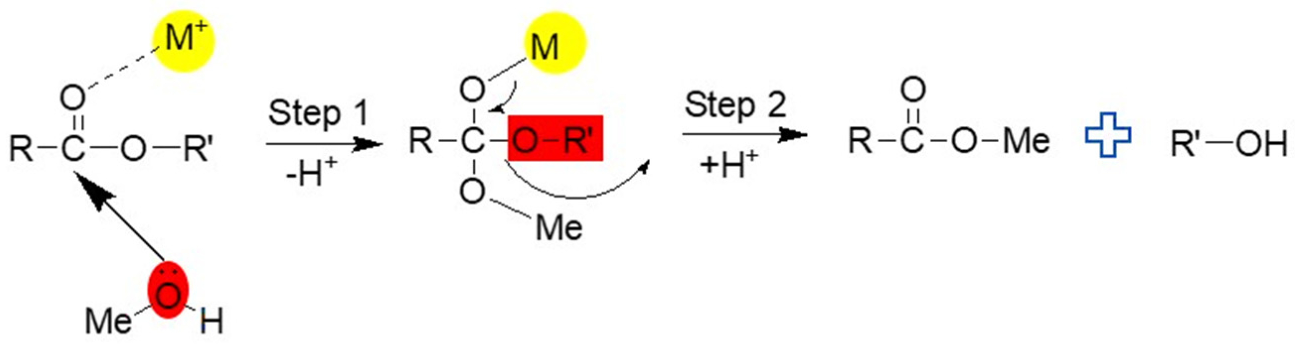 Catalysts 14 00549 g016