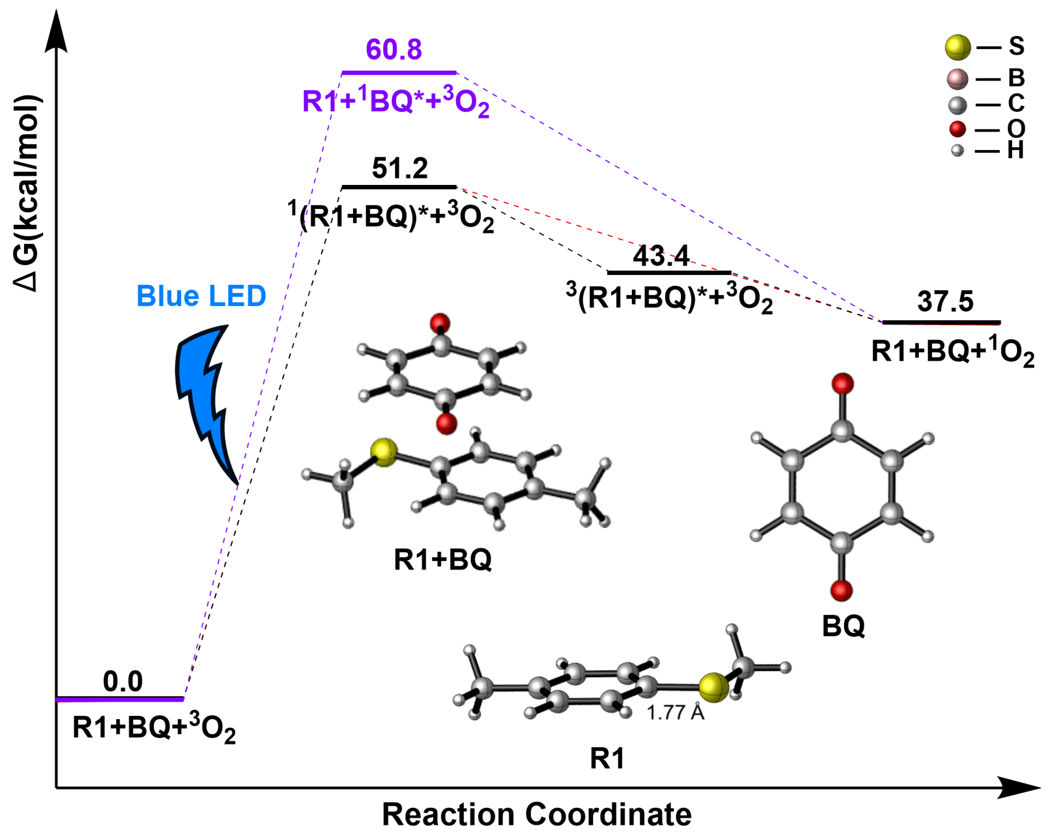 Catalysts 14 00550 g003