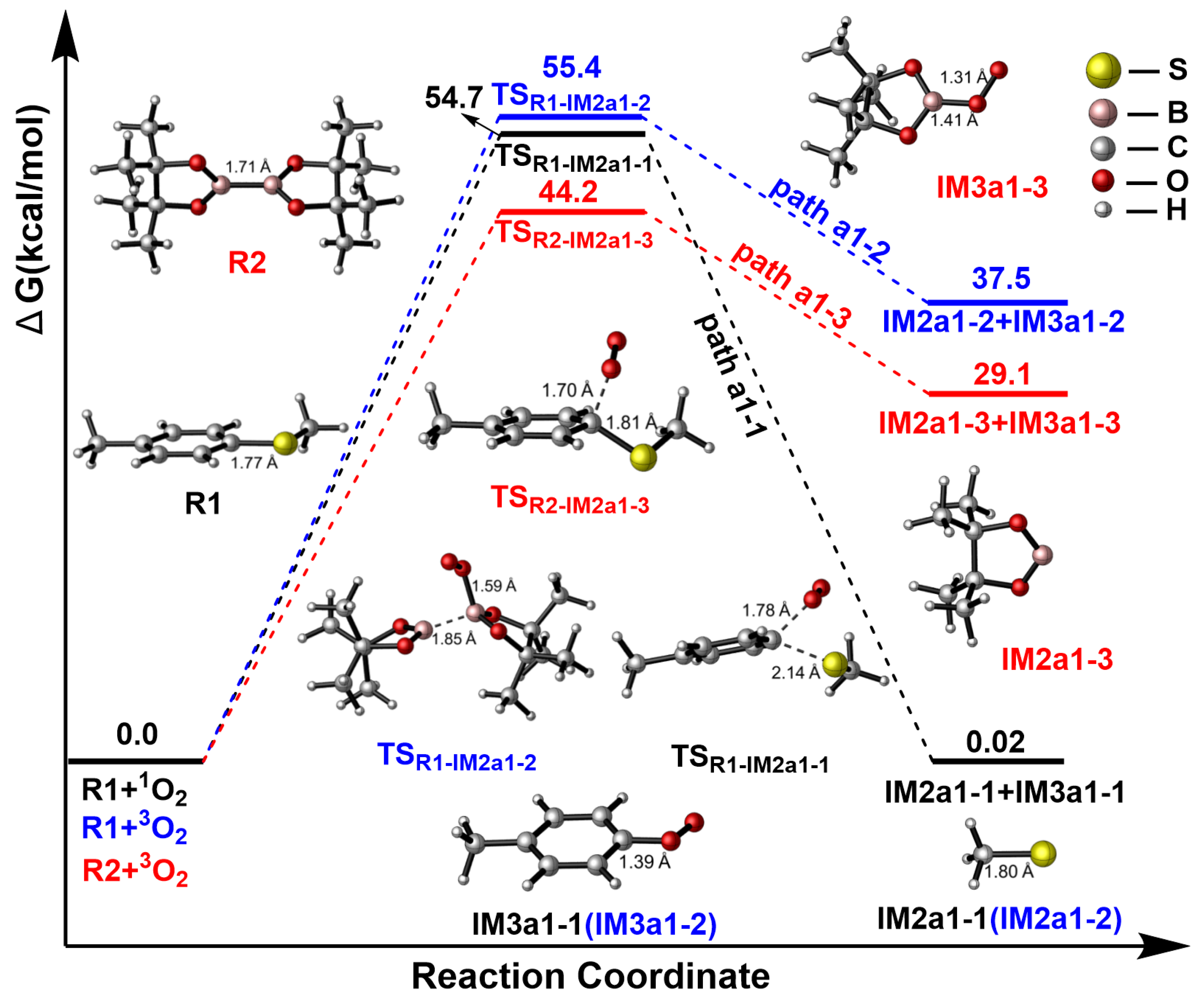 Catalysts 14 00550 g004