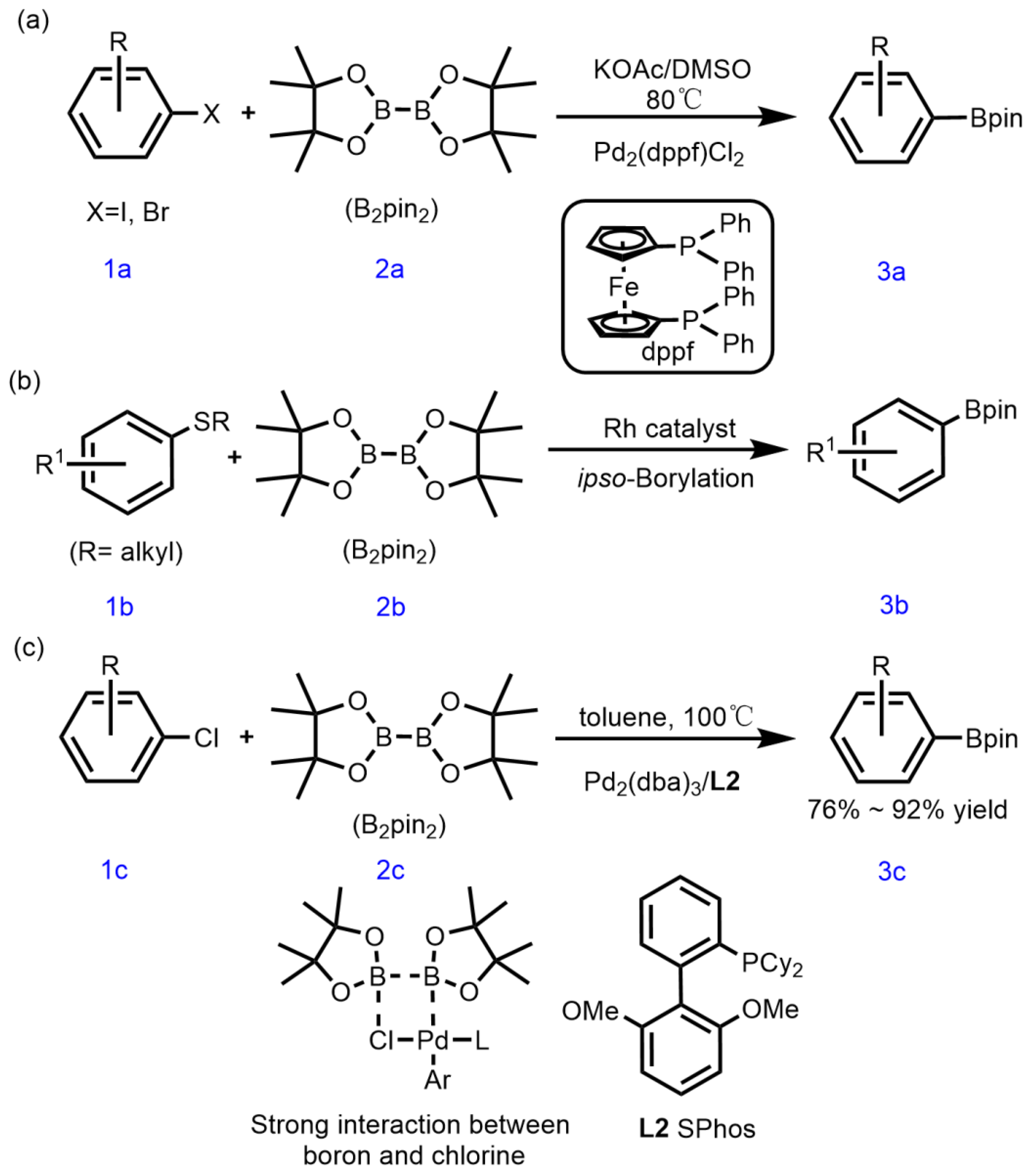 Catalysts 14 00550 sch001