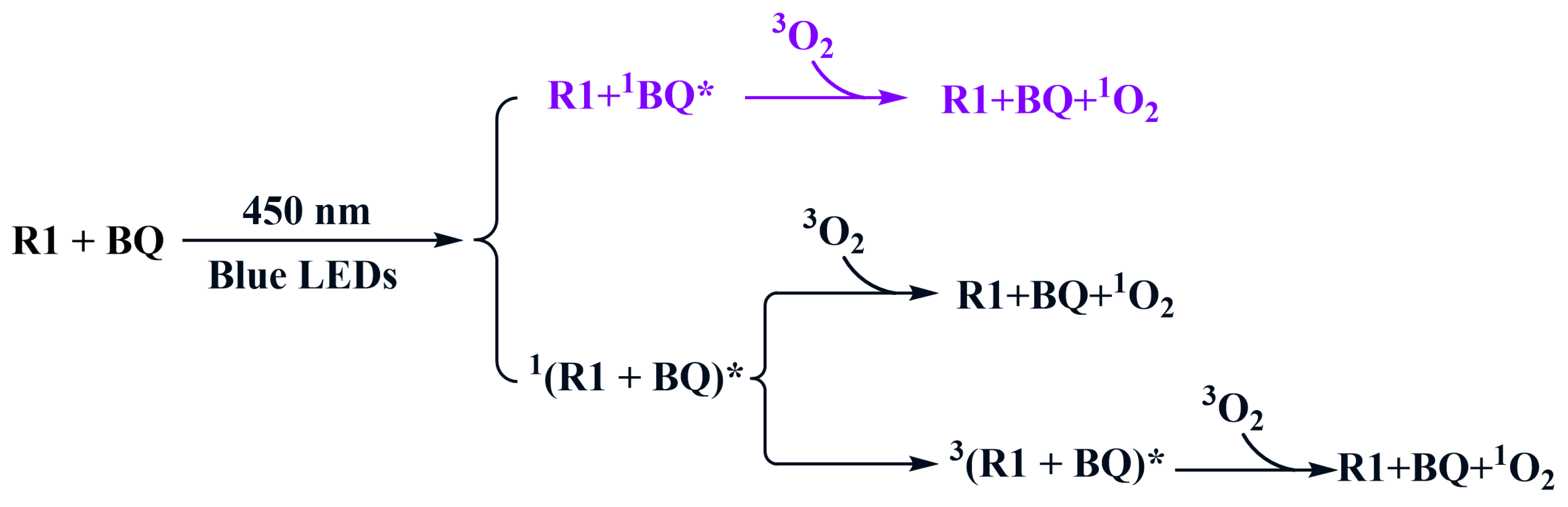 Catalysts 14 00550 sch003