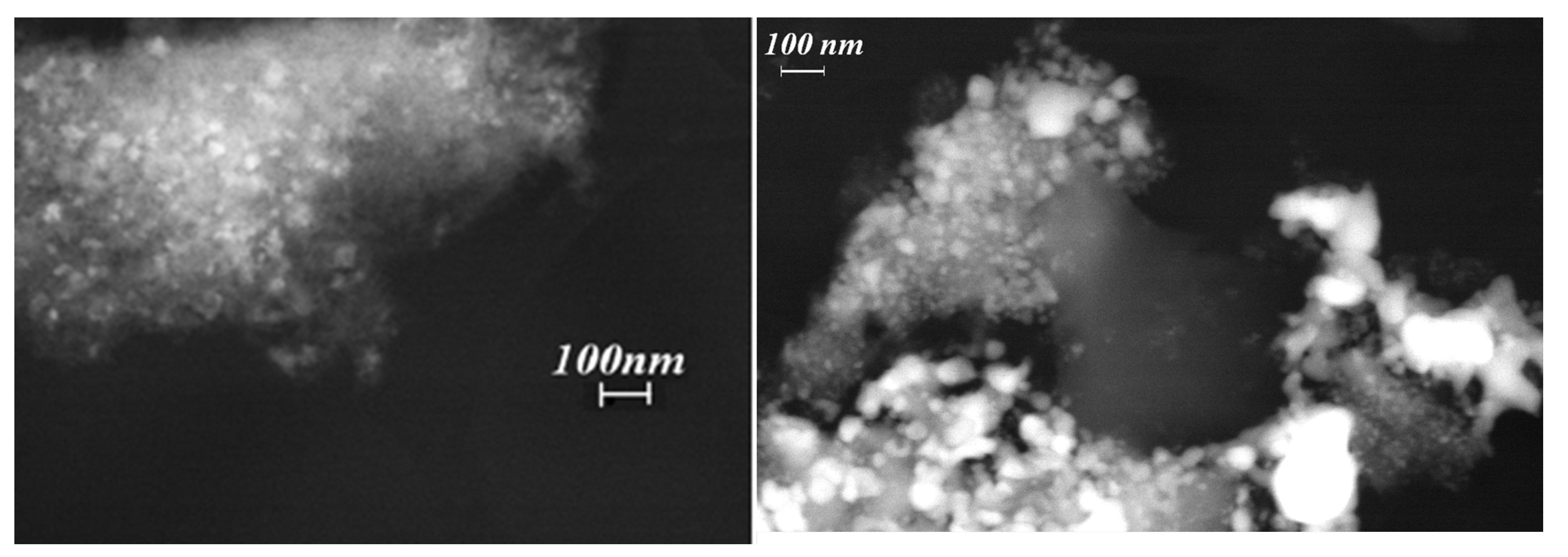 Catalysts 14 00552 g008 Catalysts 14 00552 g008