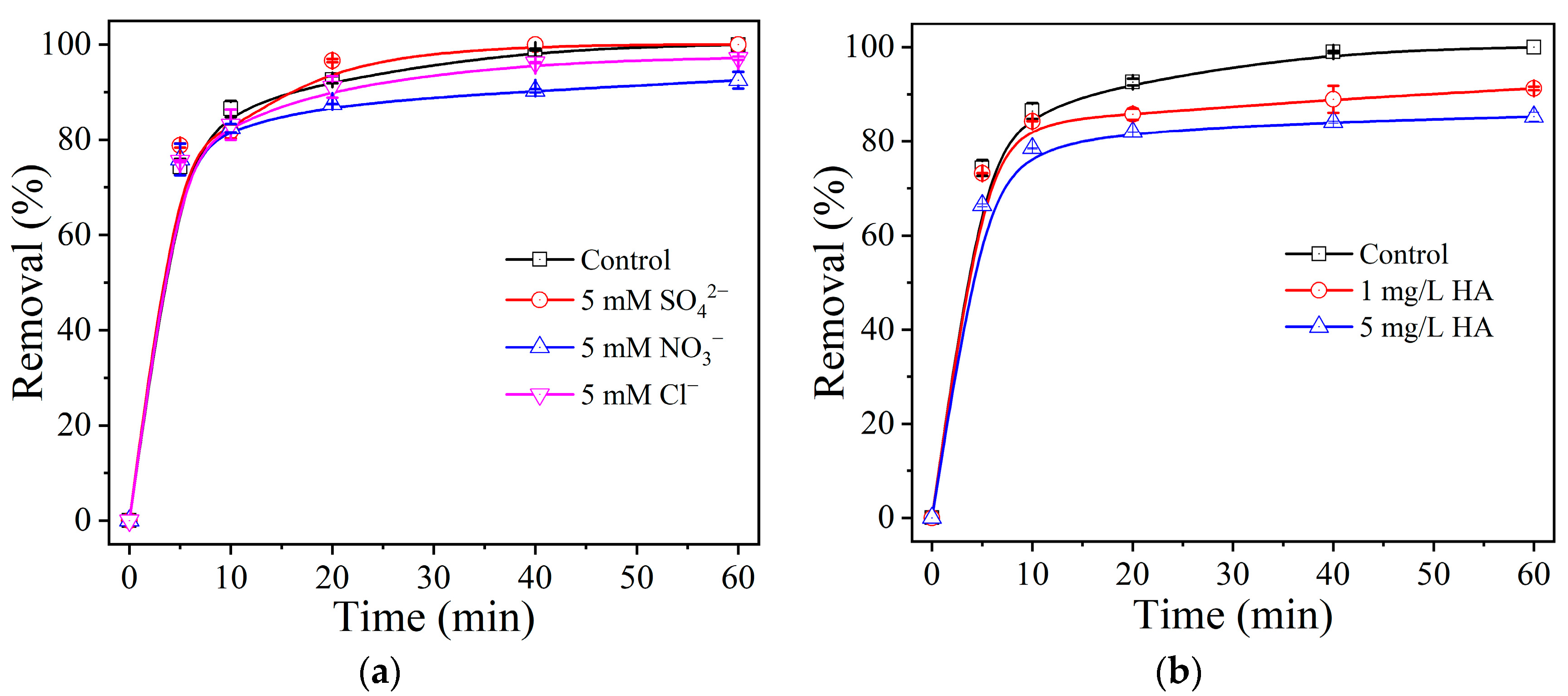 Catalysts 14 00556 g008