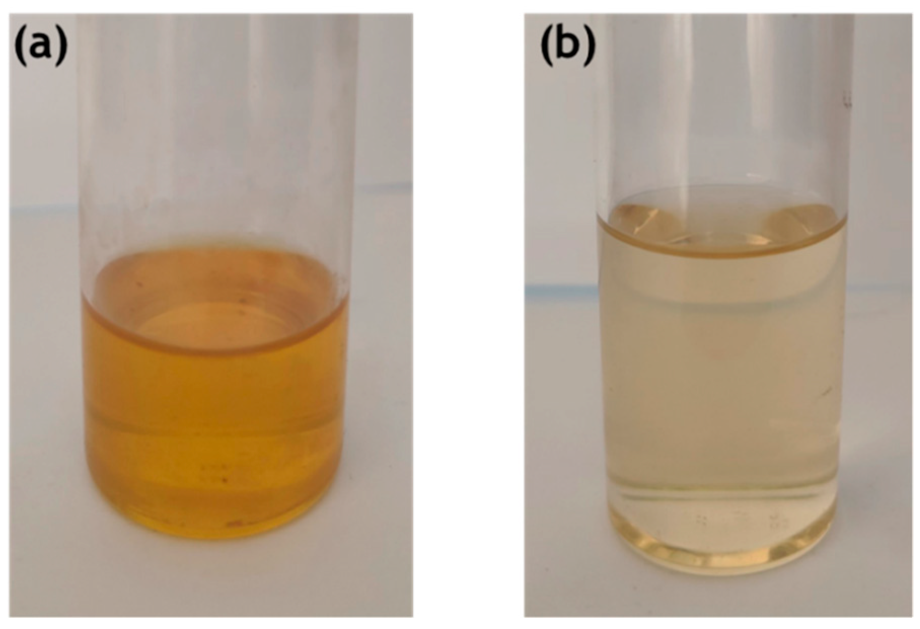 Catalysts 14 00568 g001
