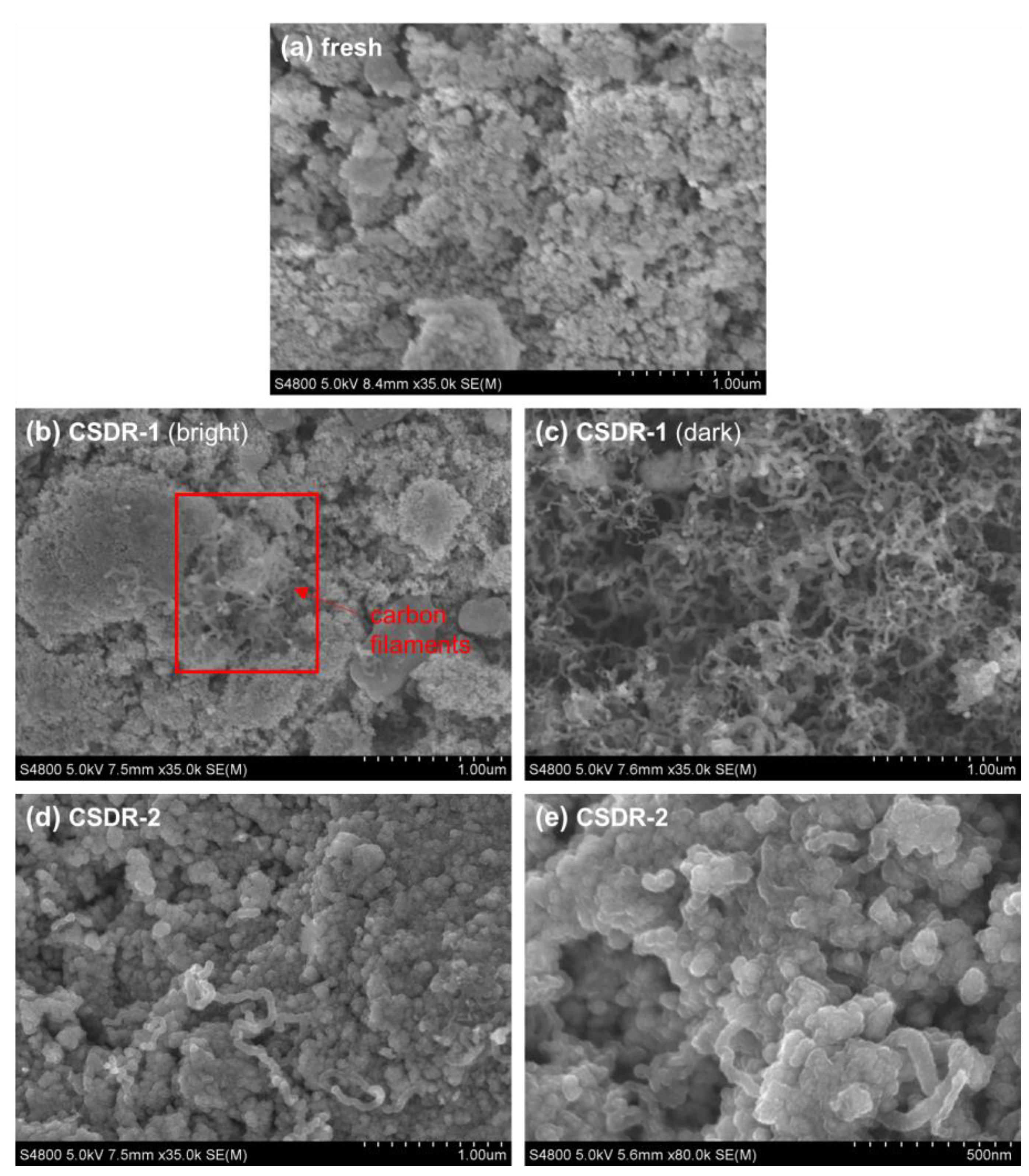 Catalysts 14 00571 g004