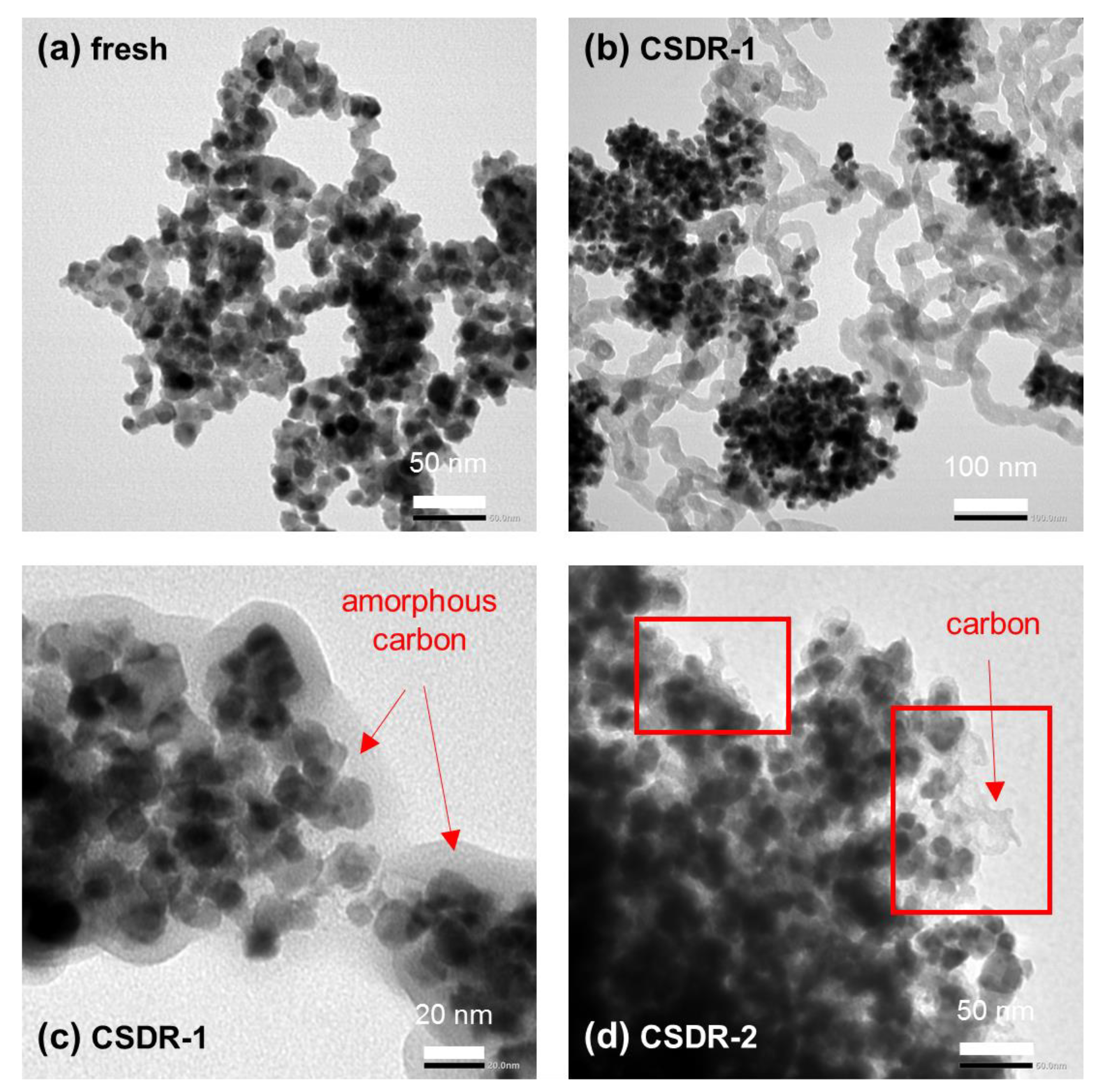 Catalysts 14 00571 g005