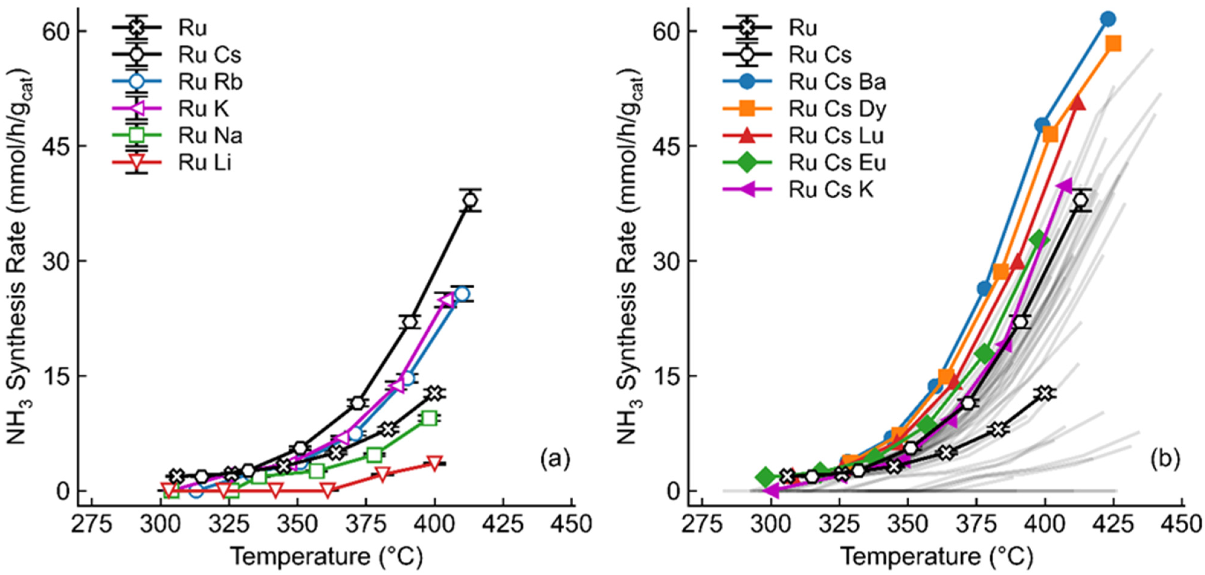 Catalysts 14 00572 g001