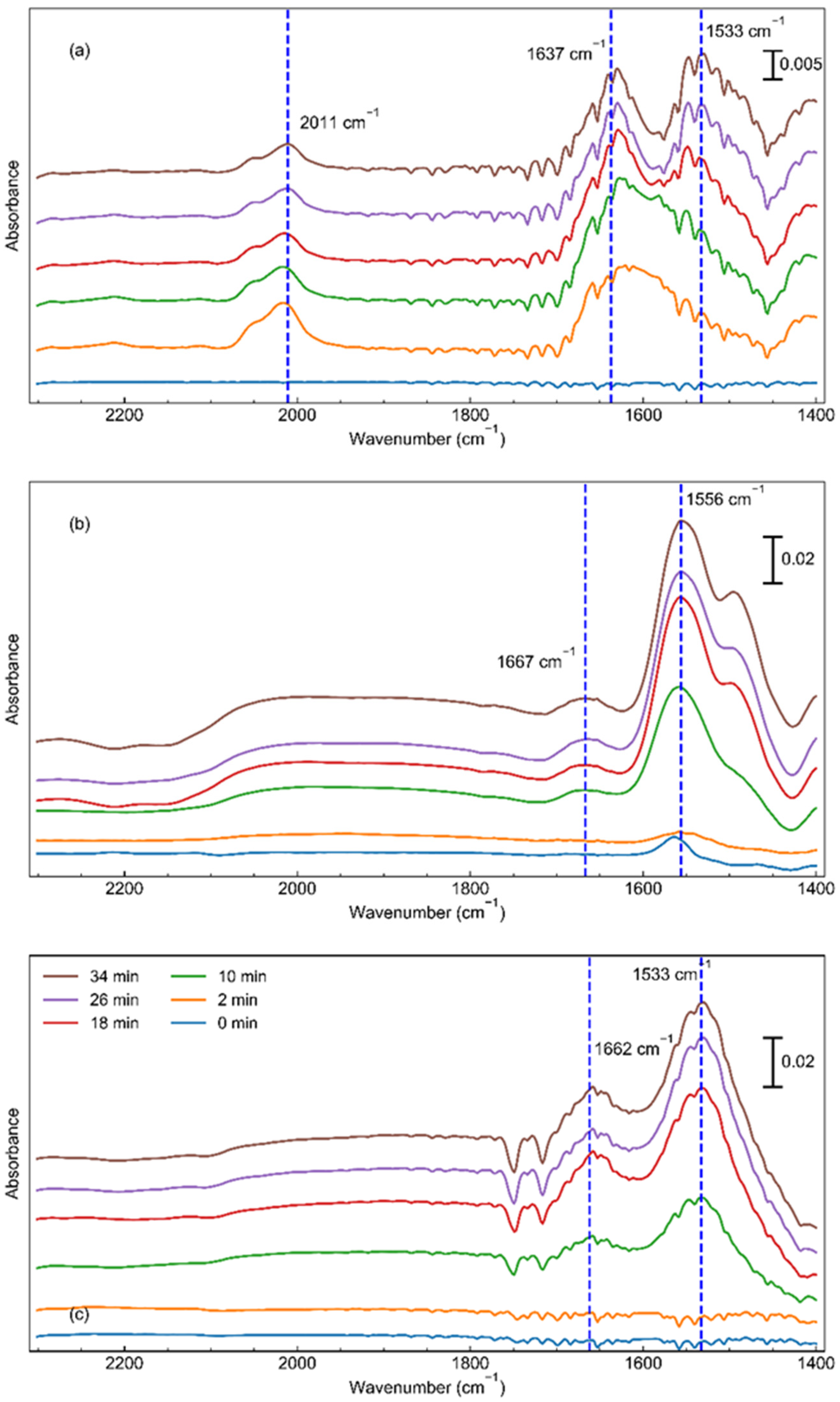 Catalysts 14 00572 g005