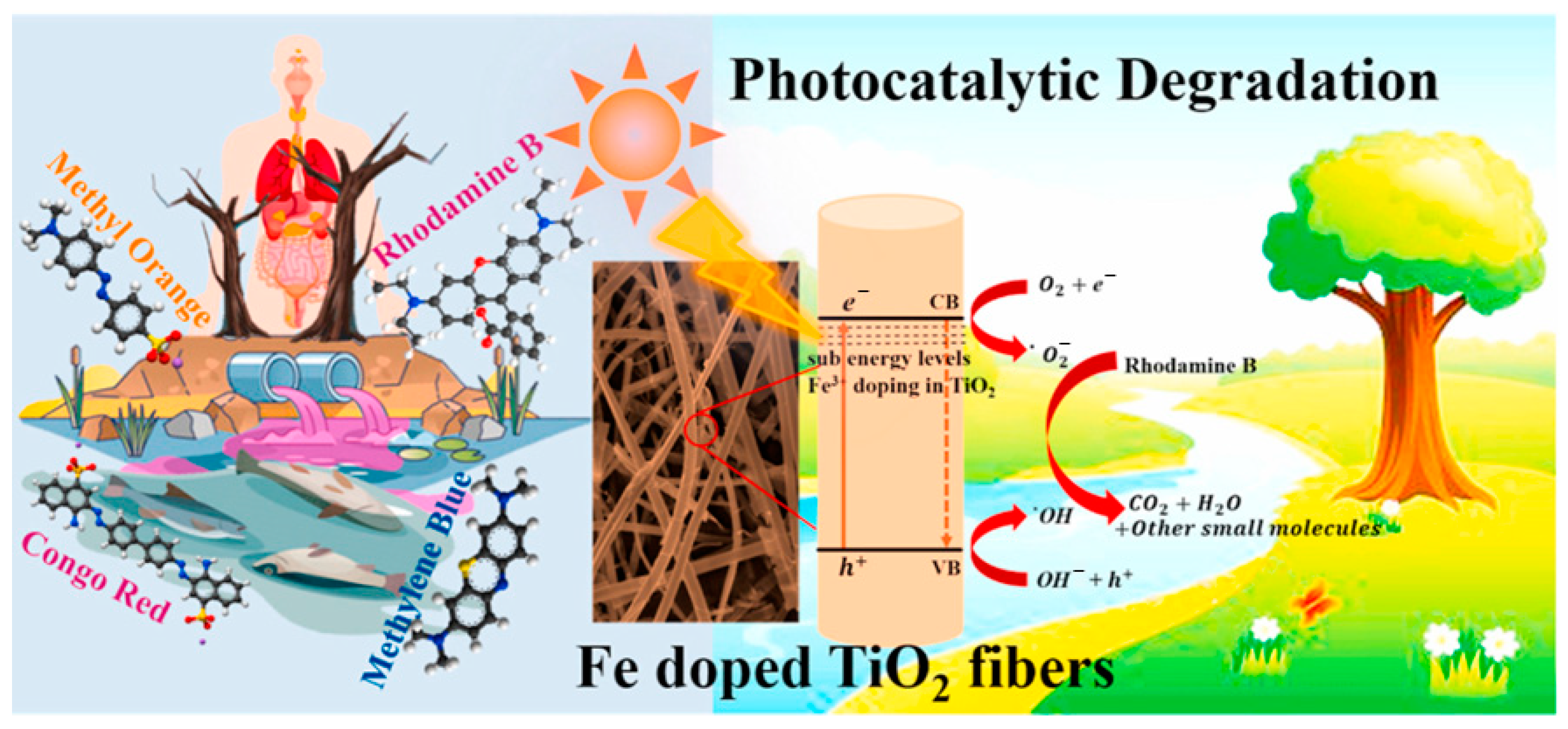 Catalysts 14 00575 g003