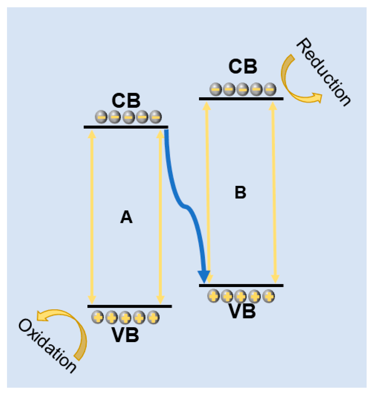 Catalysts 14 00575 g006