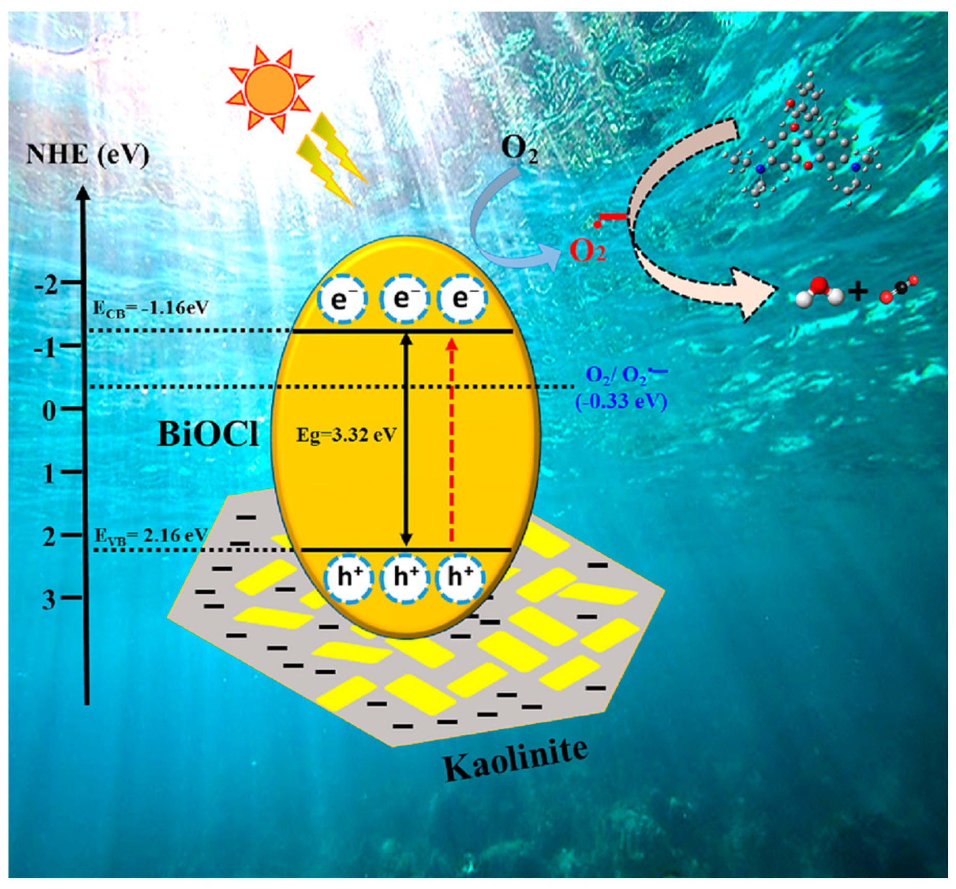 Catalysts 14 00575 g007