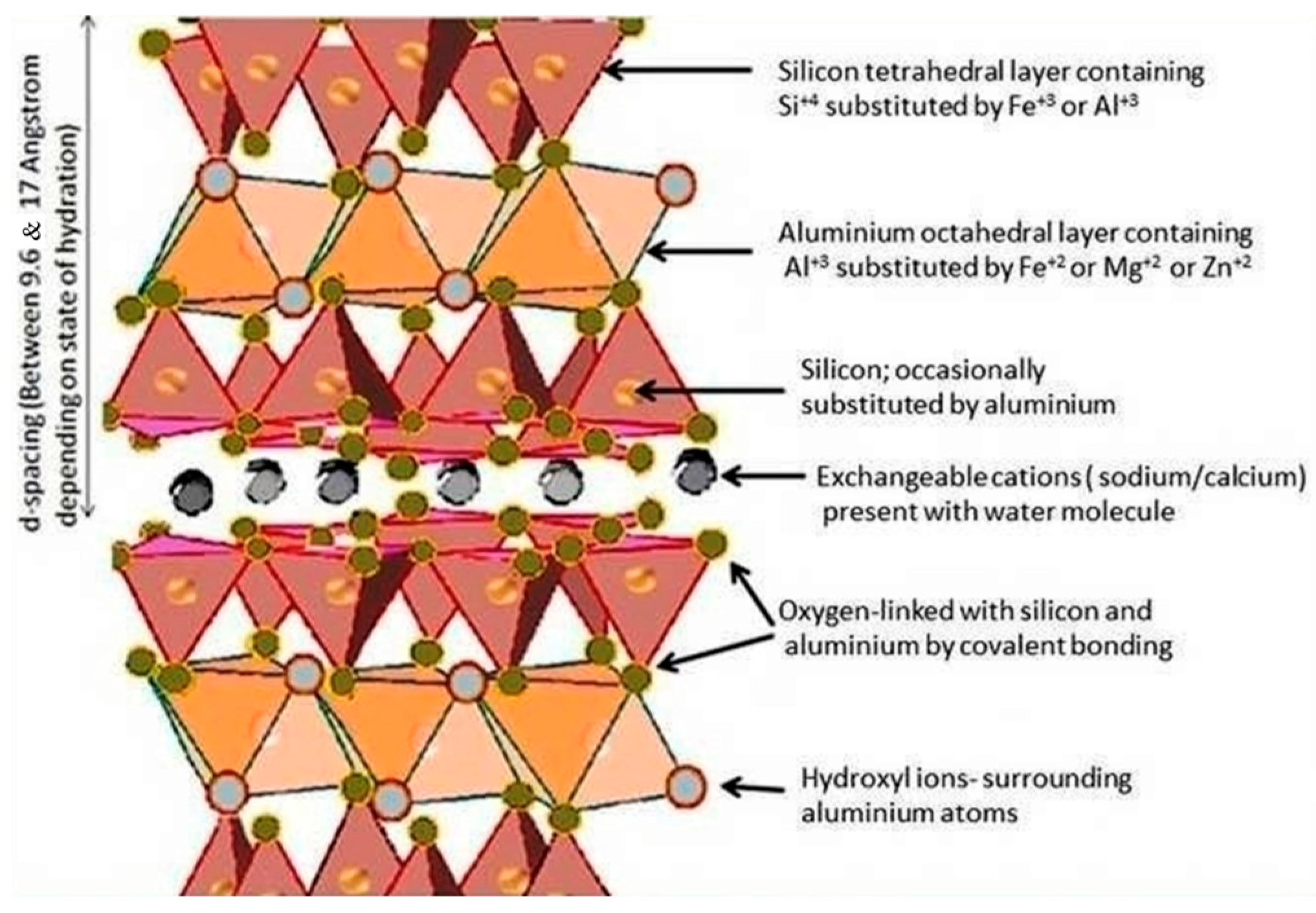 Catalysts 14 00575 g008