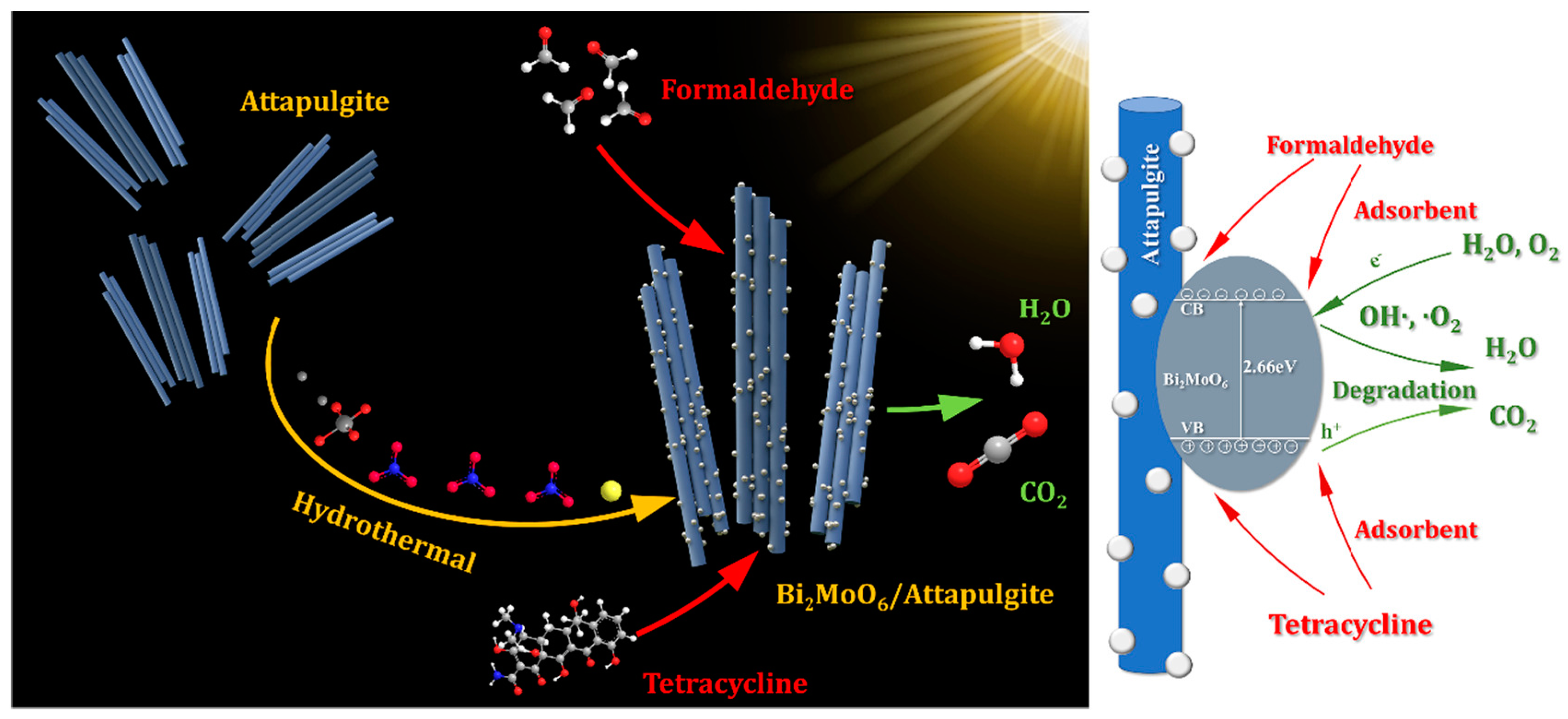 Catalysts 14 00575 g009