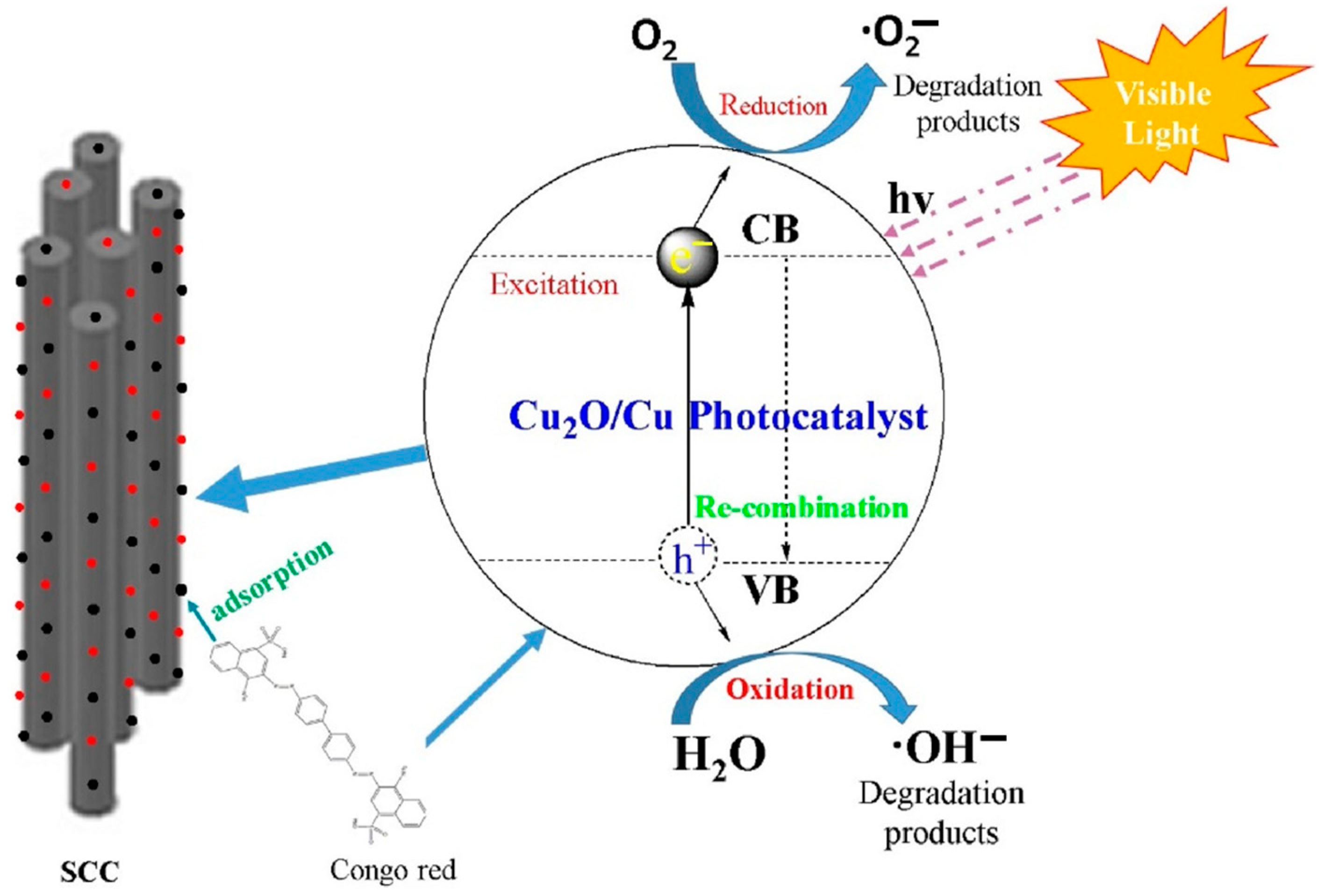 Catalysts 14 00575 g010