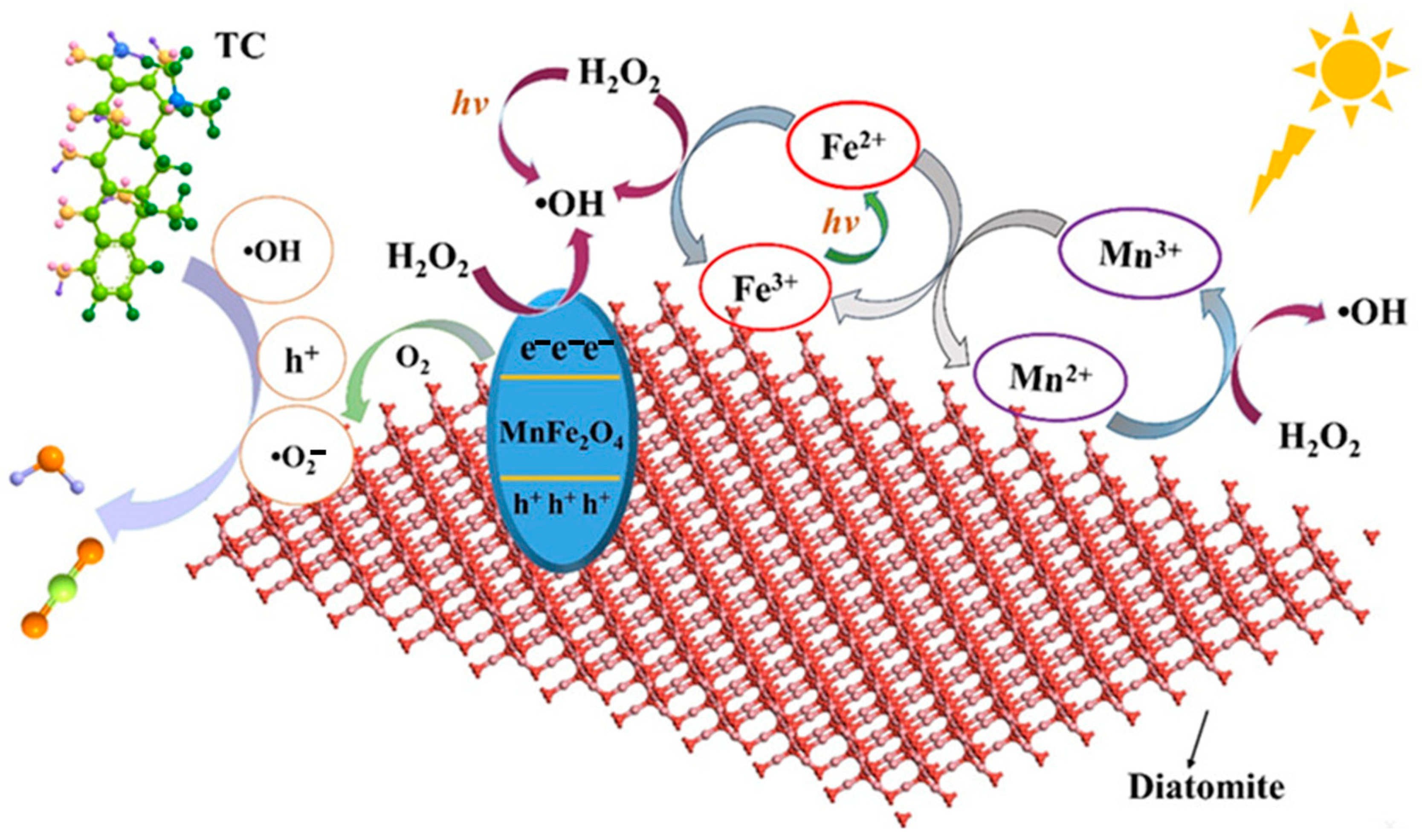 Catalysts 14 00575 g011
