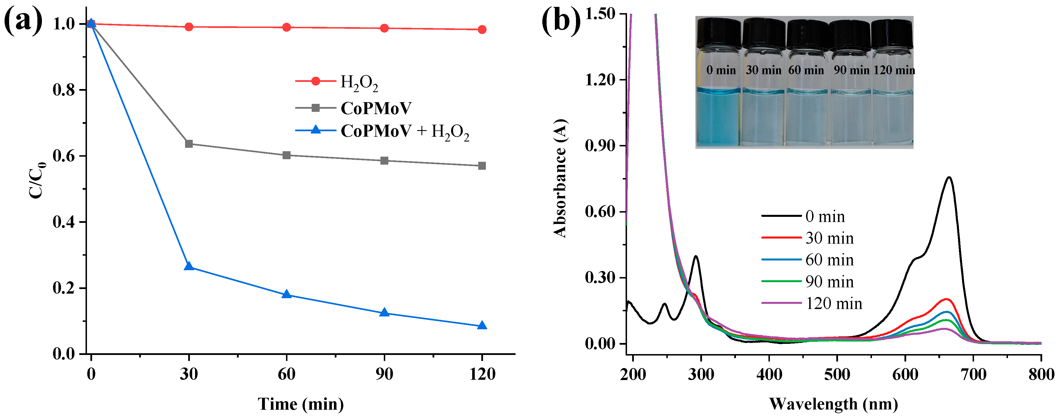 Catalysts 14 00576 g006