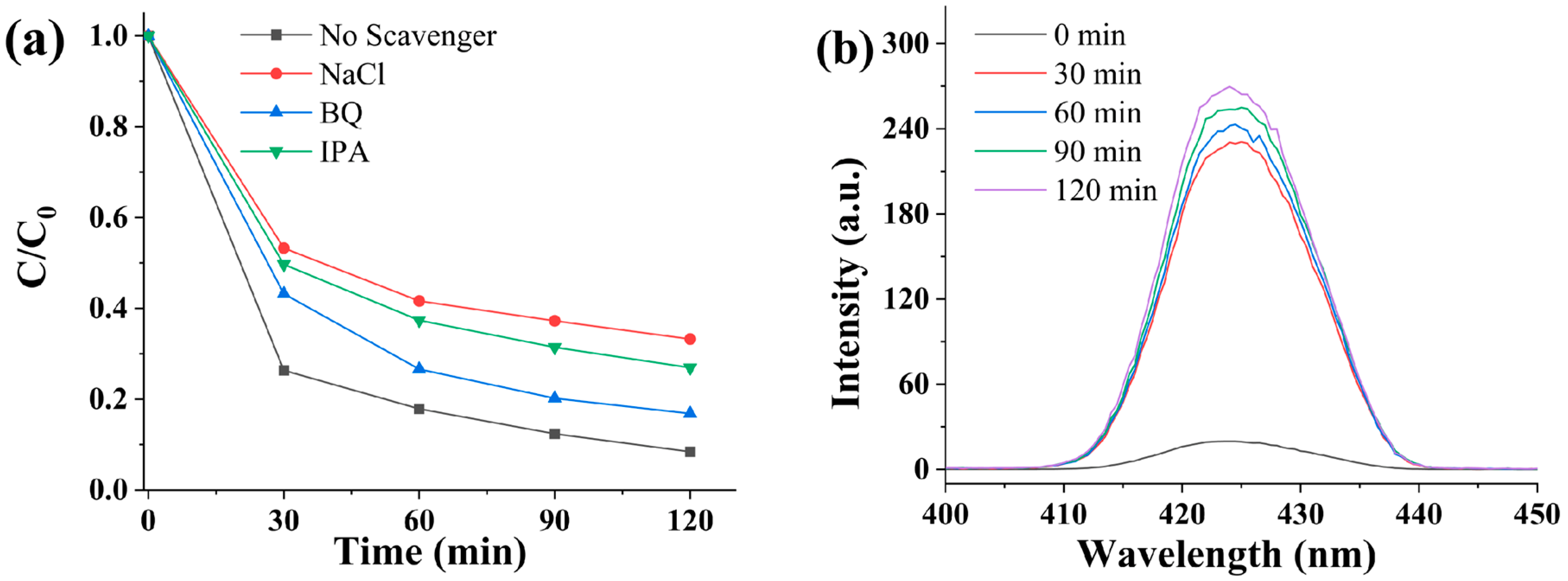 Catalysts 14 00576 g008
