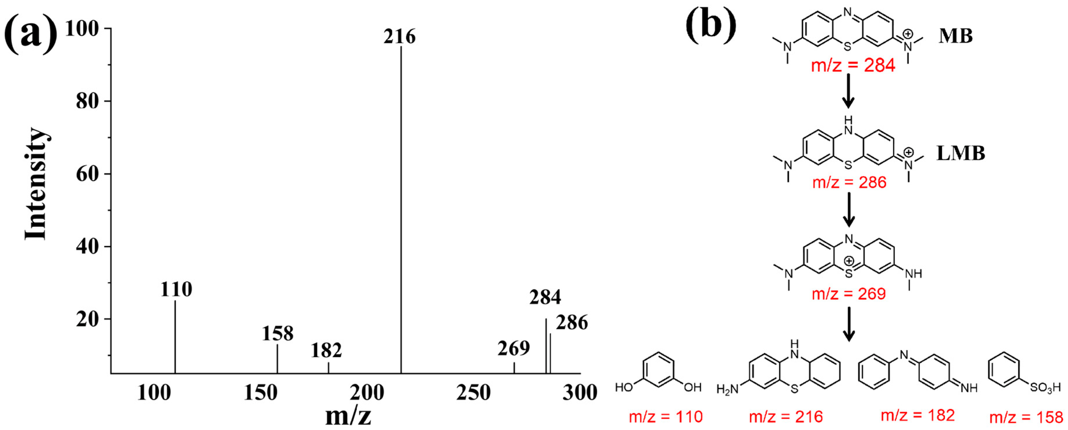Catalysts 14 00576 g011