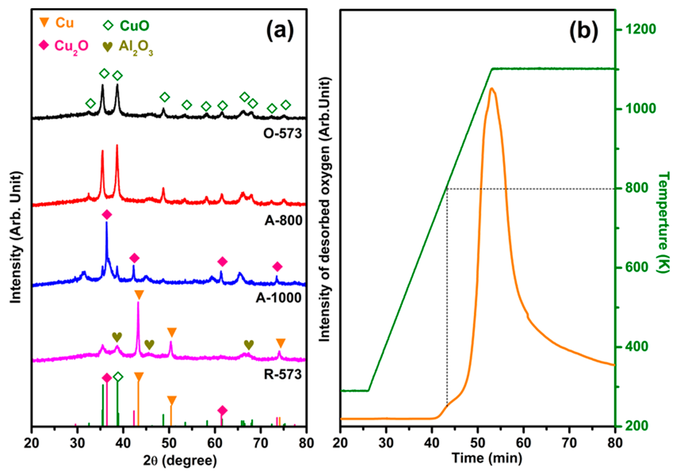 Catalysts 14 00578 g001
